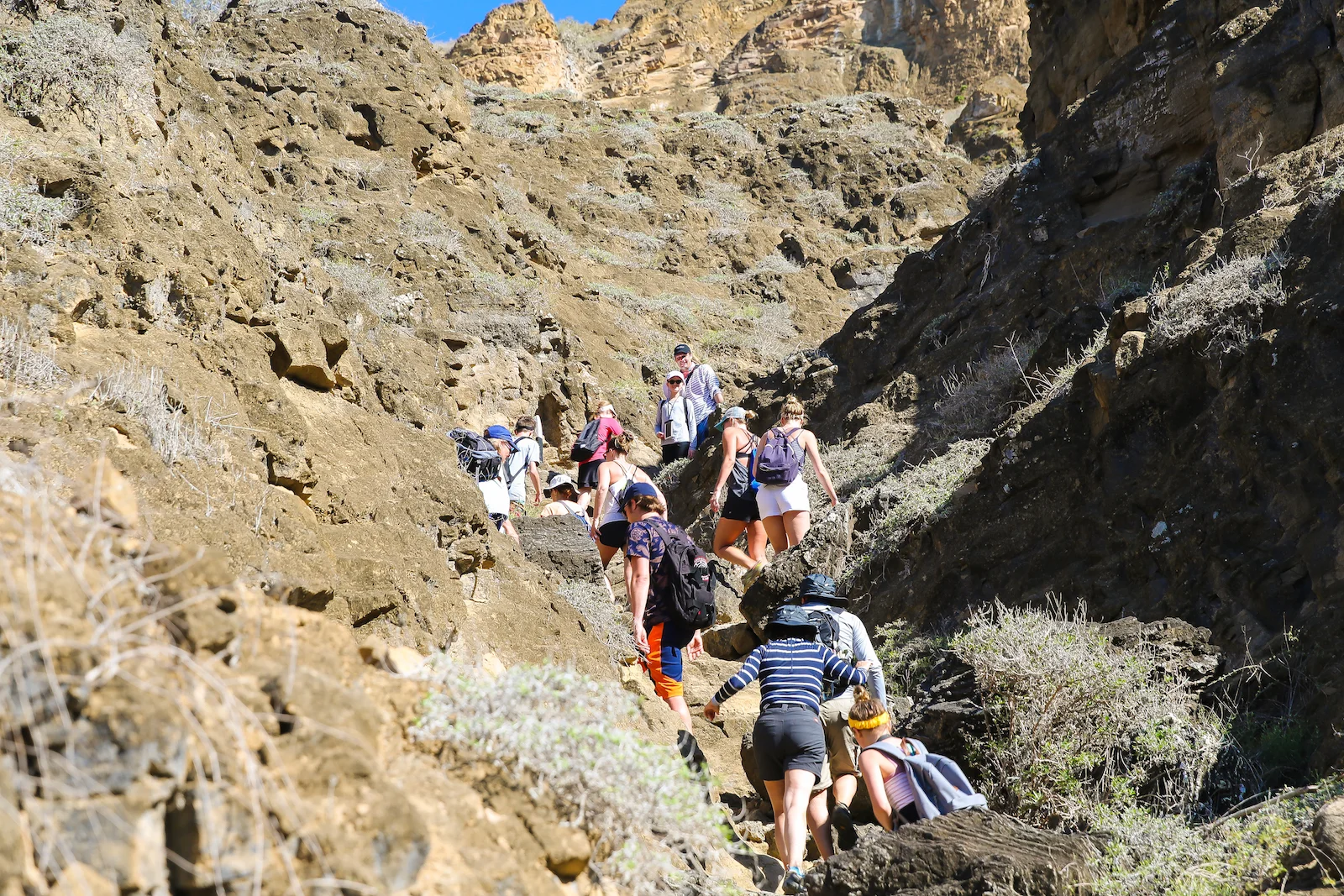 GALAPAGOS FAMILY-58.JPG