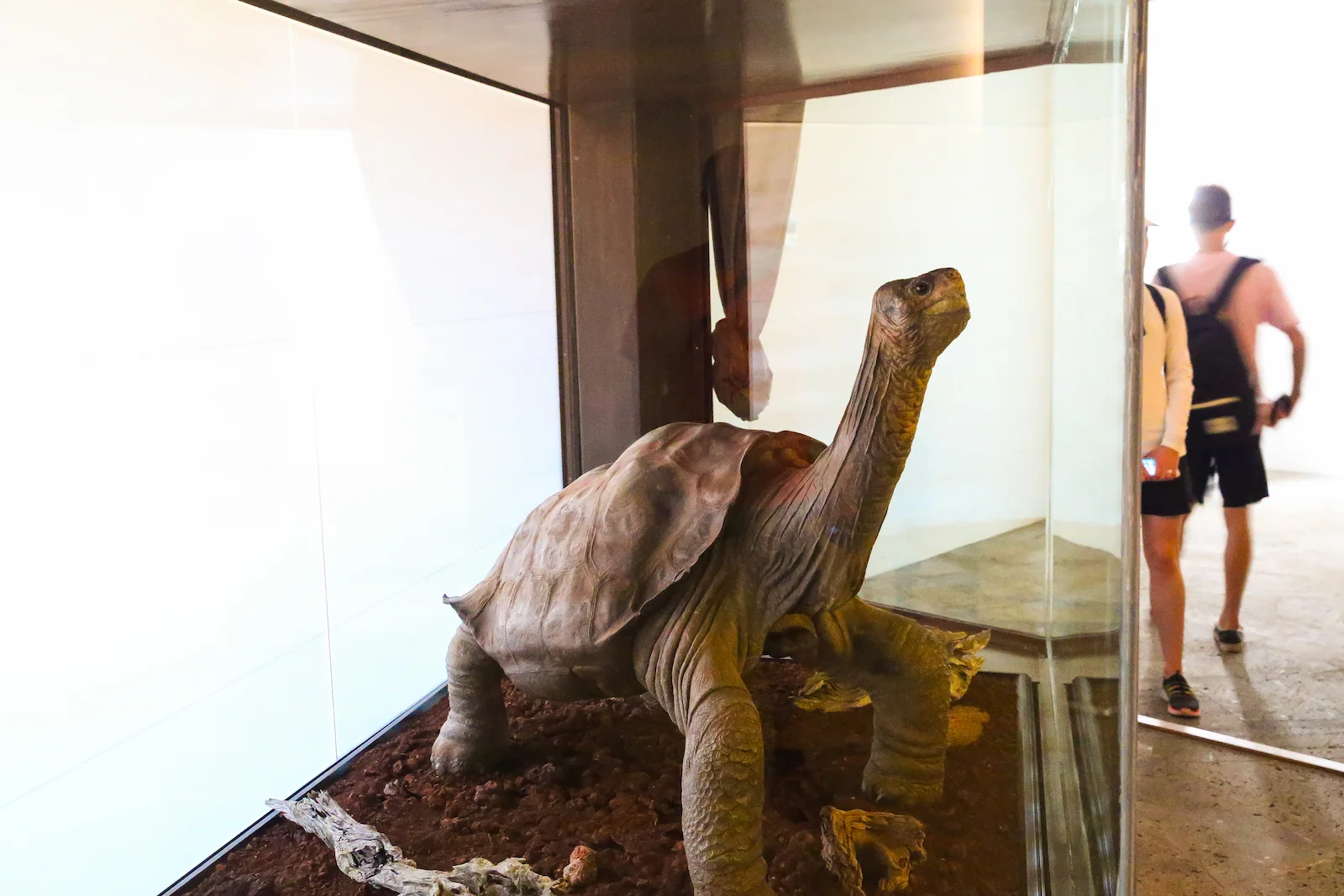 GALAPAGOS FAMILY-68.JPG