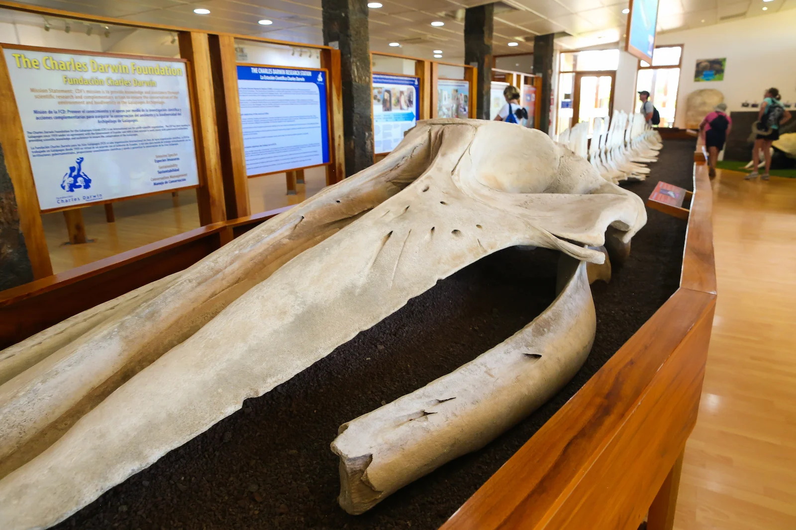 GALAPAGOS FAMILY-70.JPG