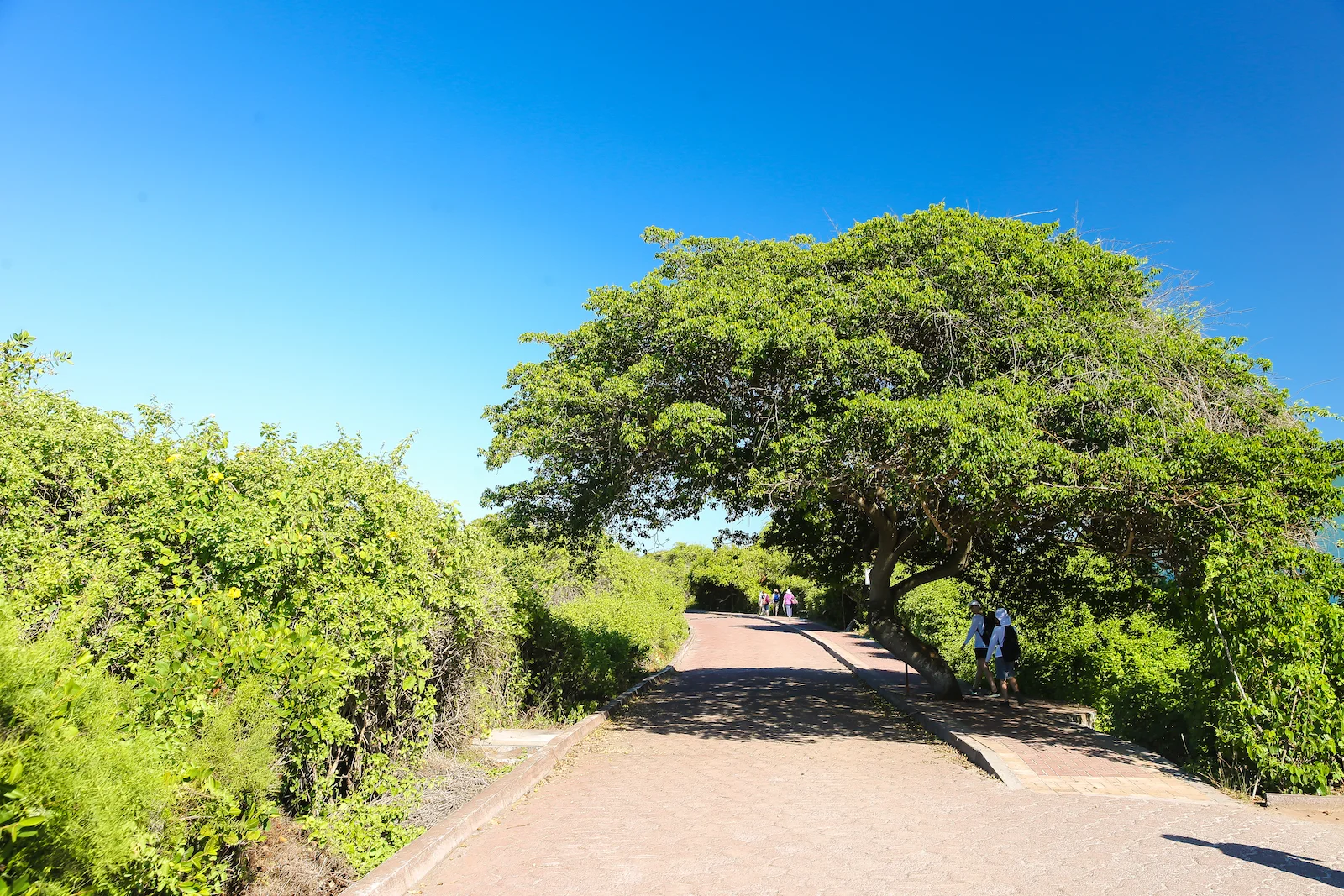 GALAPAGOS FAMILY-73.JPG