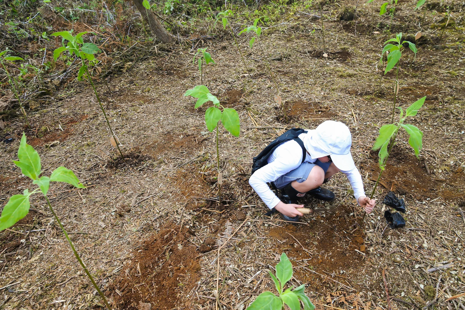 GALAPAGOS FAMILY-82.JPG