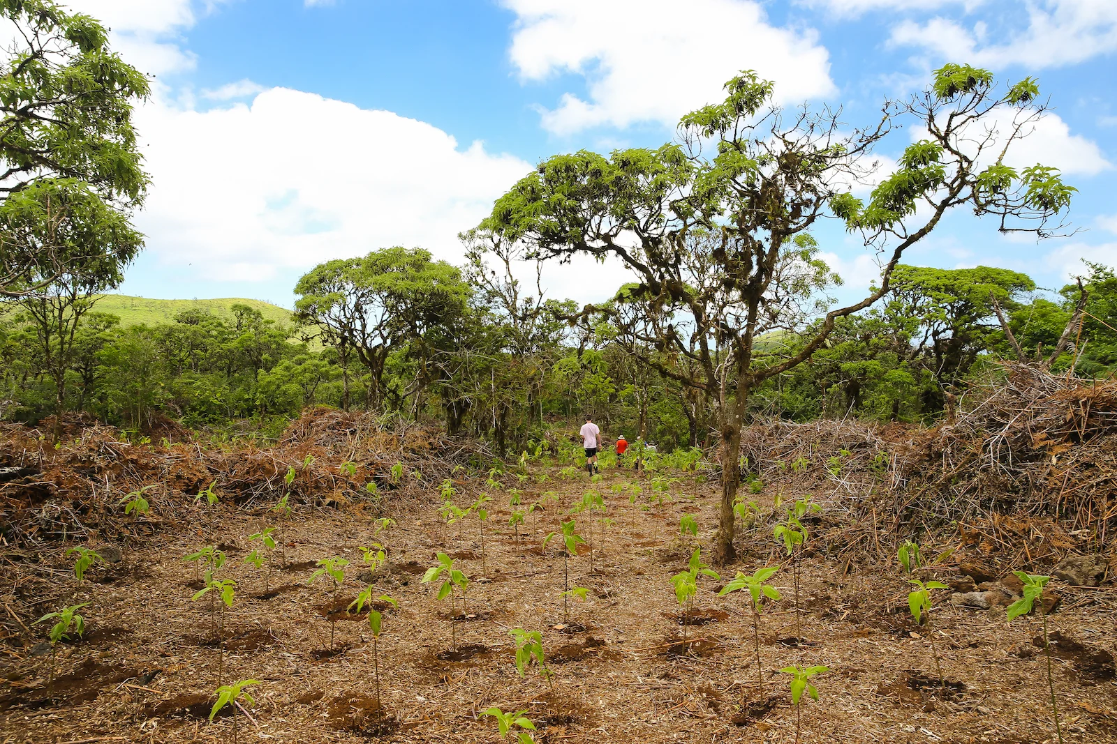 GALAPAGOS FAMILY-83.JPG