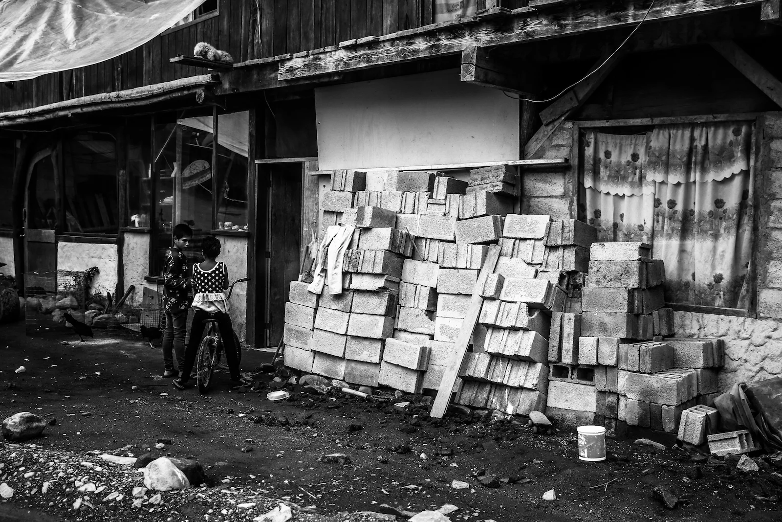 GALAPAGOS FAMILY-96.JPG