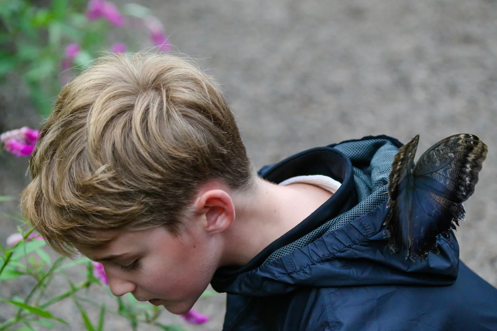 GALAPAGOS FAMILY-100.JPG