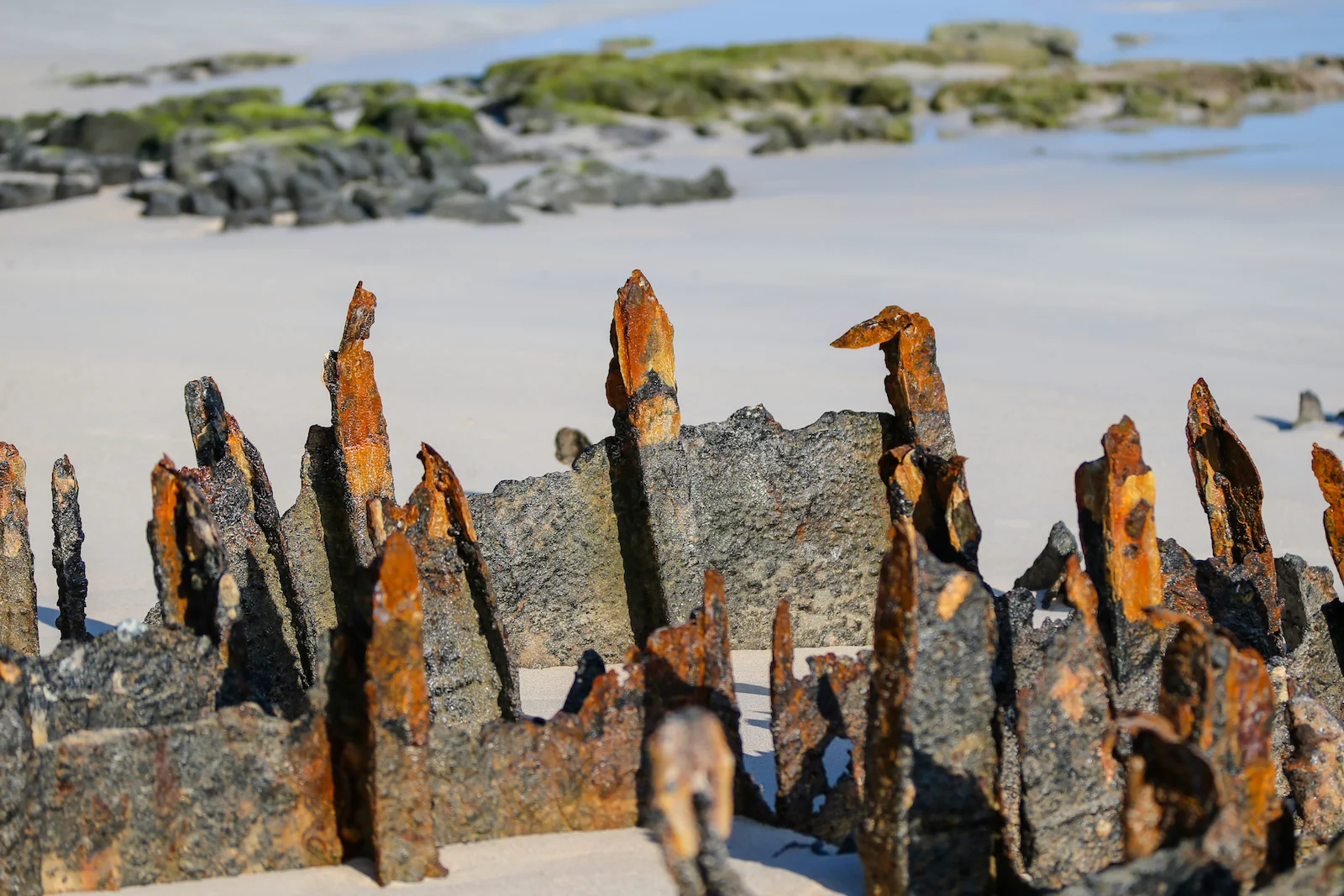 GALAPAGOS BACHUS BEACH-3.JPG