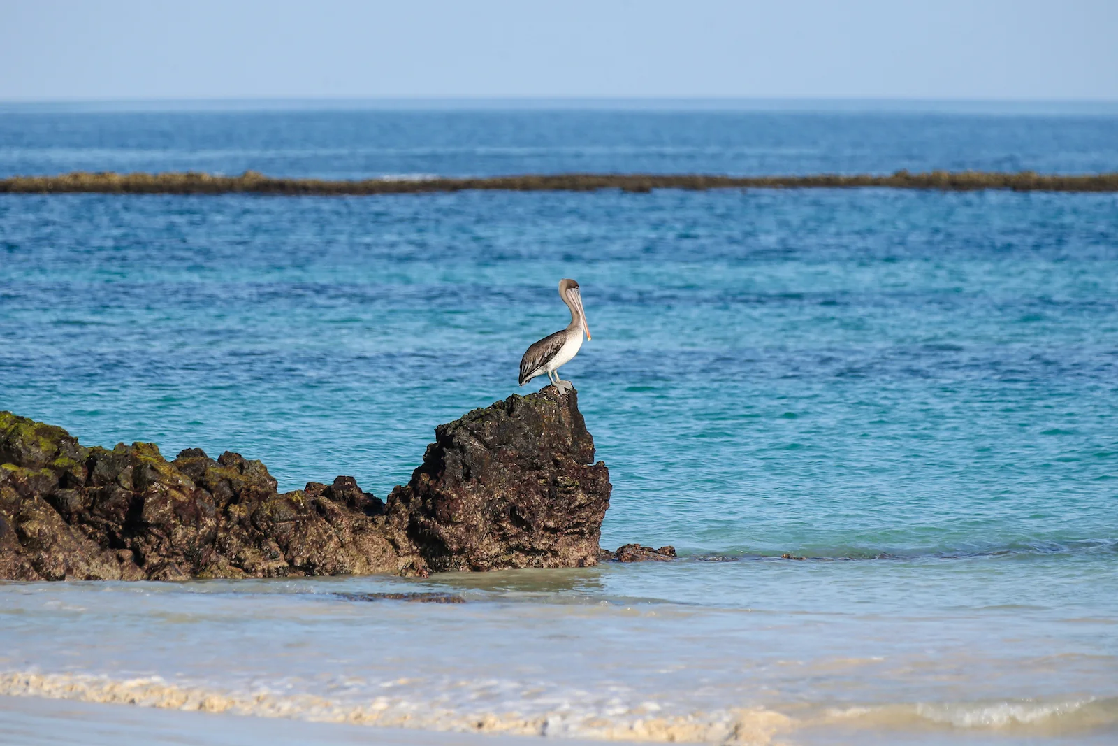 GALAPAGOS BACHUS BEACH-4.JPG