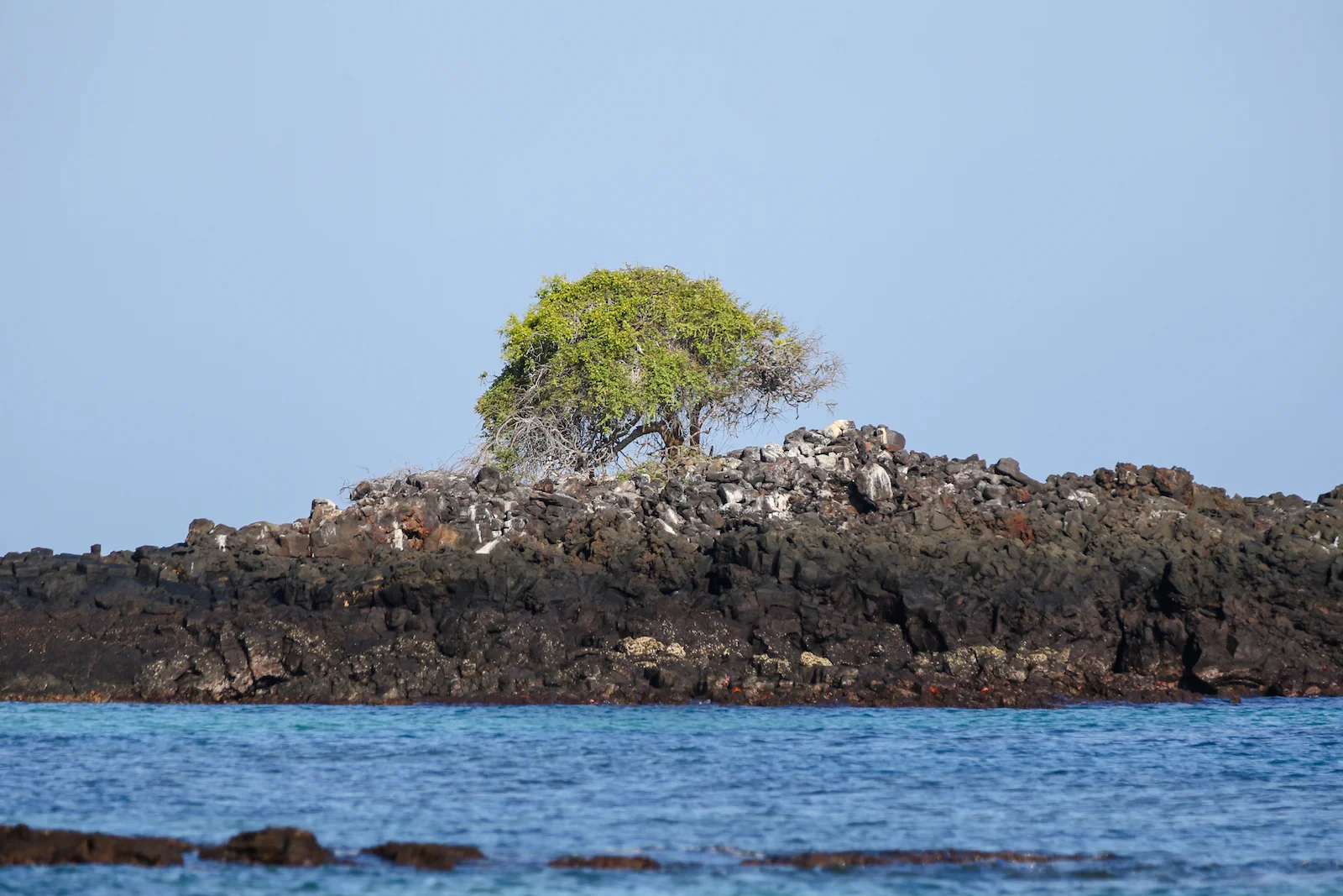 GALAPAGOS BACHUS BEACH-5.JPG