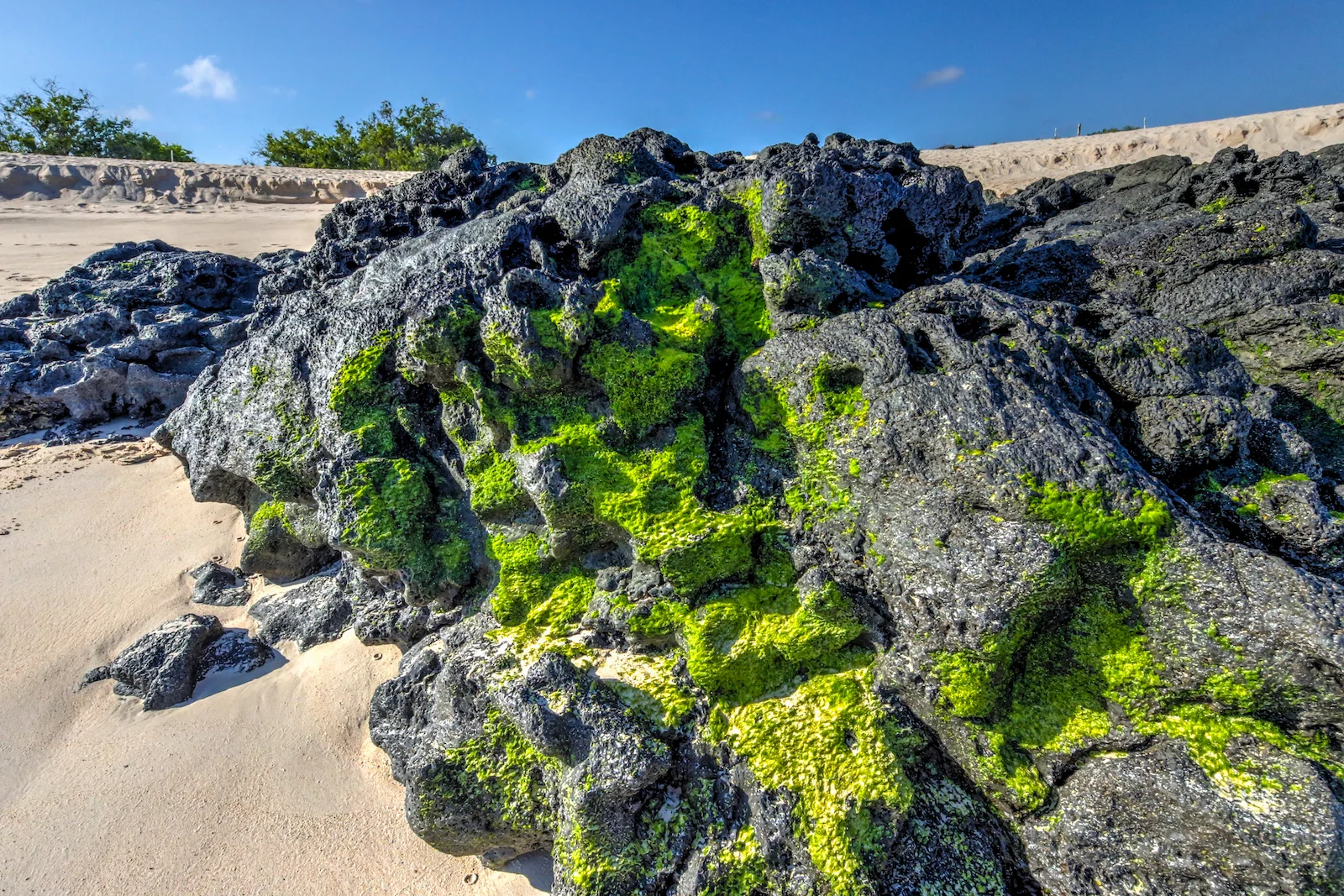 GALAPAGOS BACHUS BEACH-20.JPG
