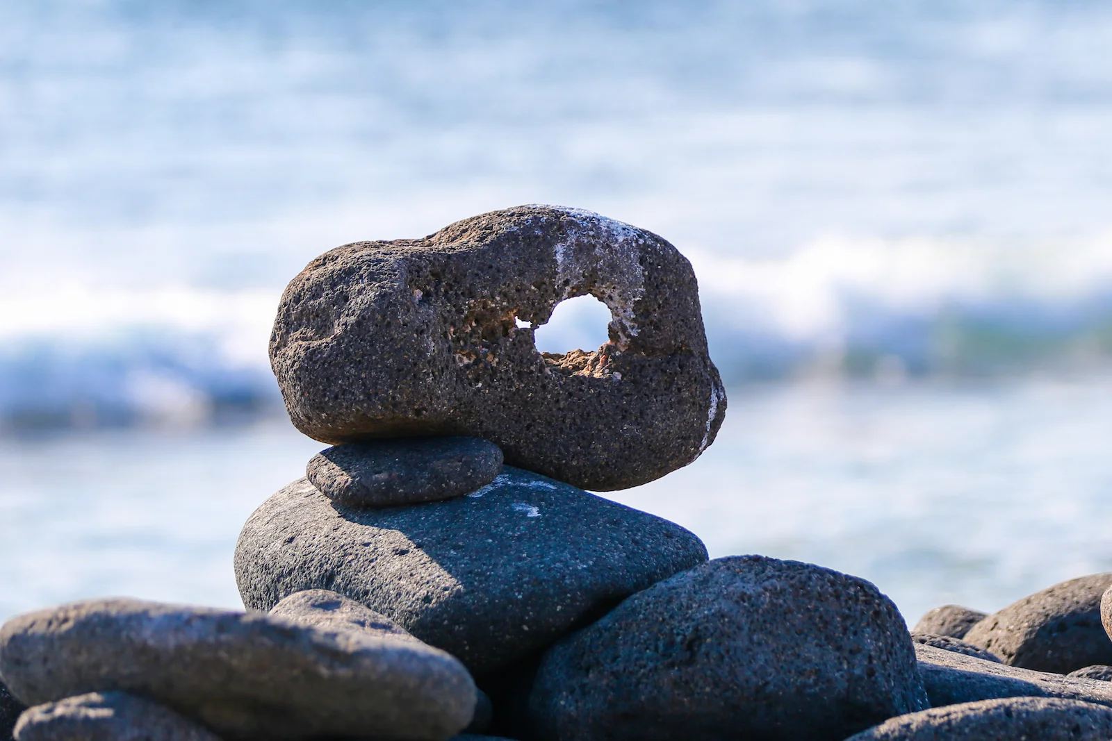 2018 GALAPAGOS DAY 5 NORTH SEYMOUR-17.JPG