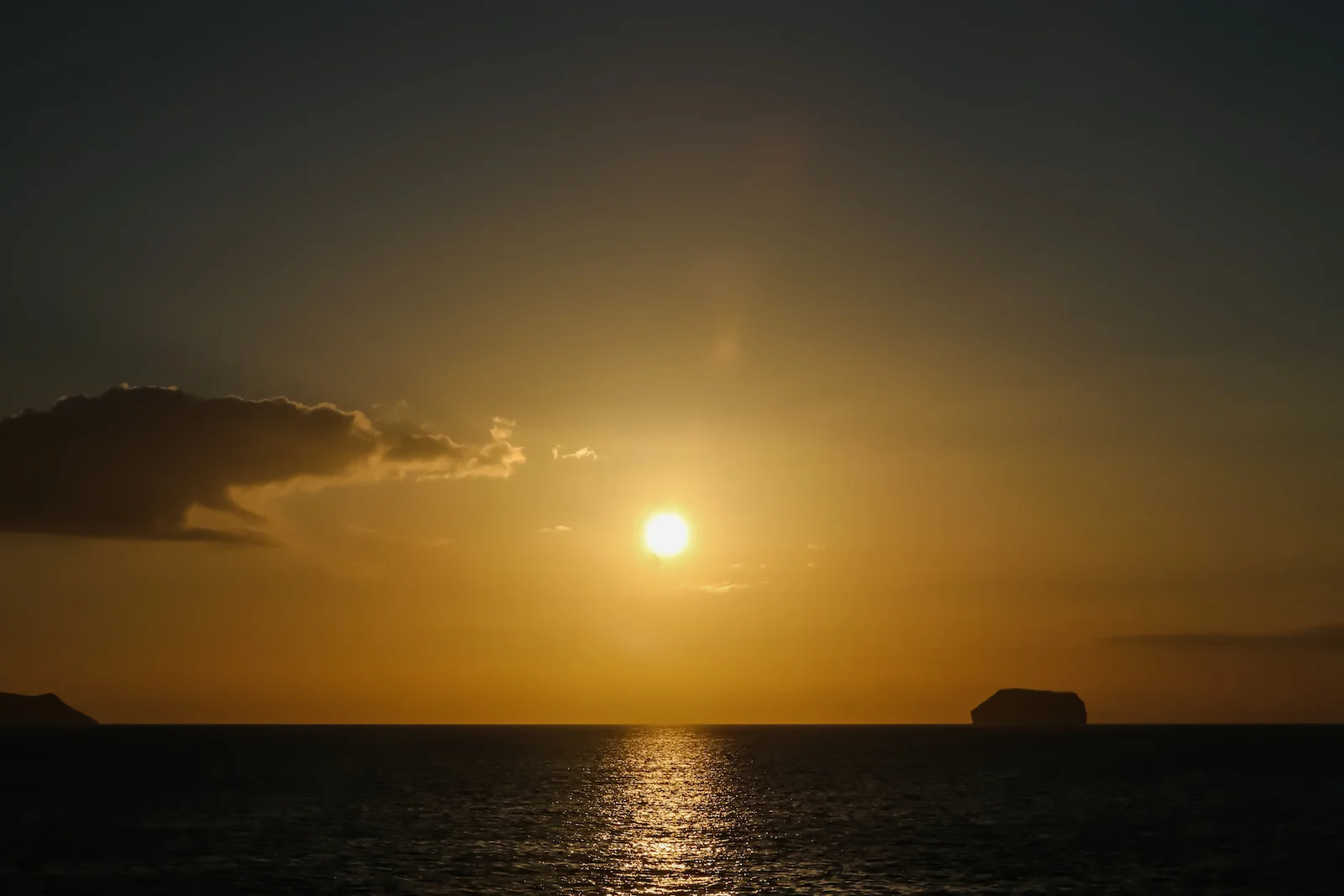 2018 GALAPAGOS DAY 5 NORTH SEYMOUR-36.JPG