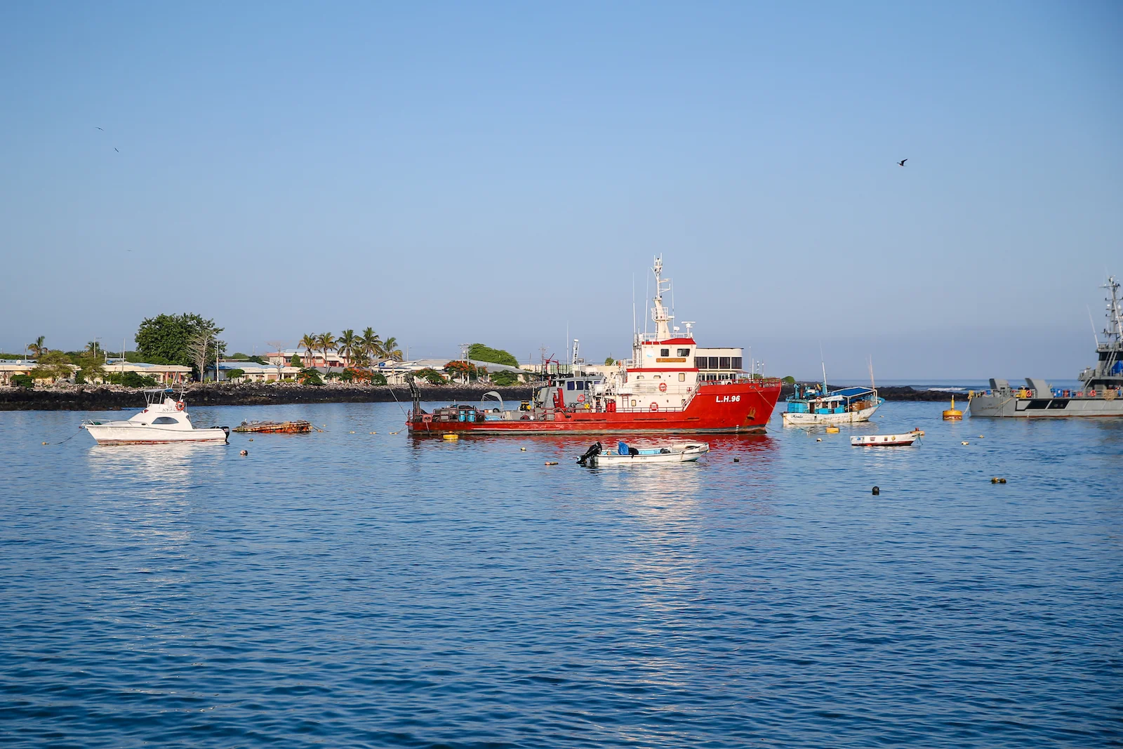 2018 GALAPAGOS DAY 6 SAN CRISTOBAL-1.JPG