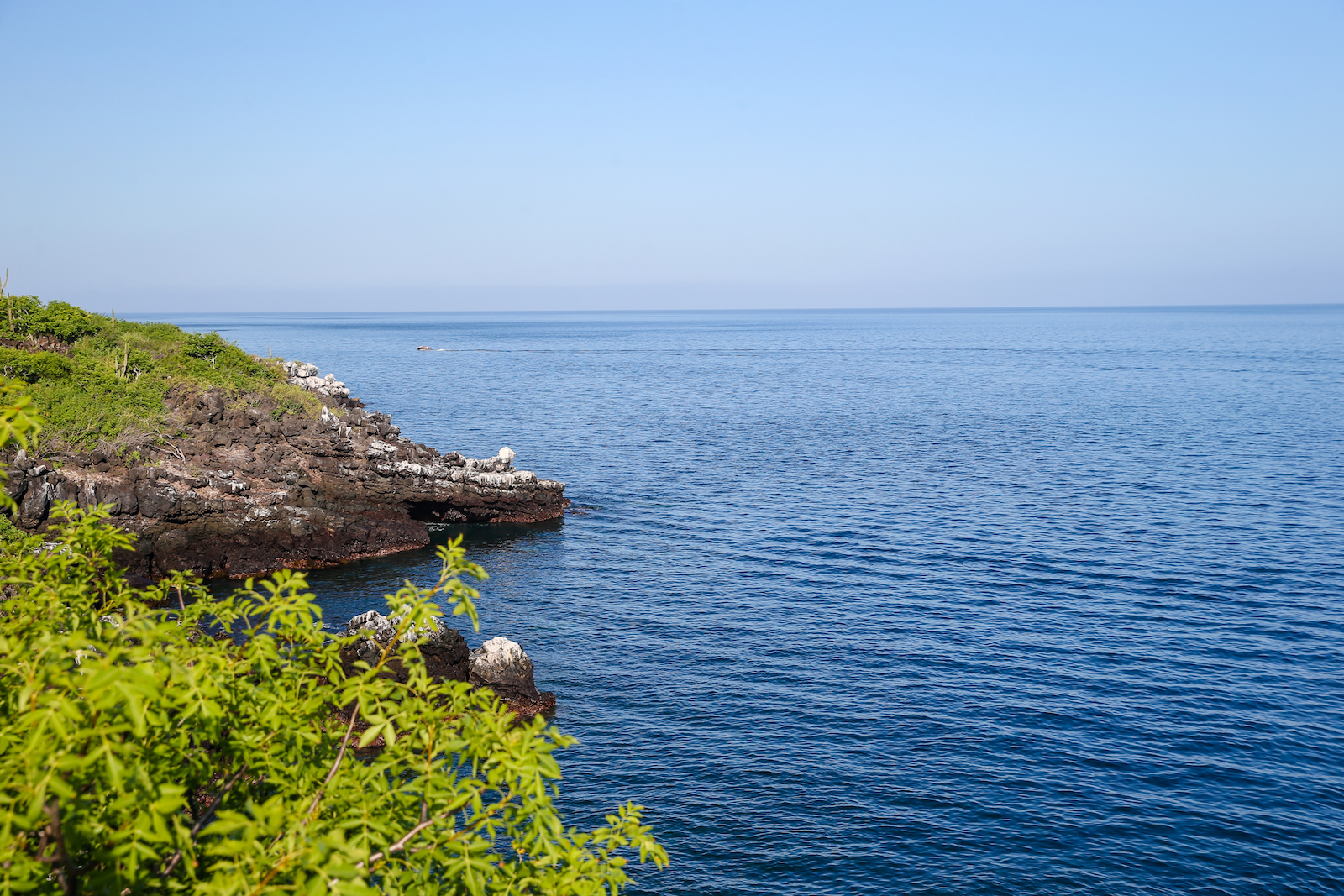2018 GALAPAGOS DAY 6 SAN CRISTOBAL-6.JPG