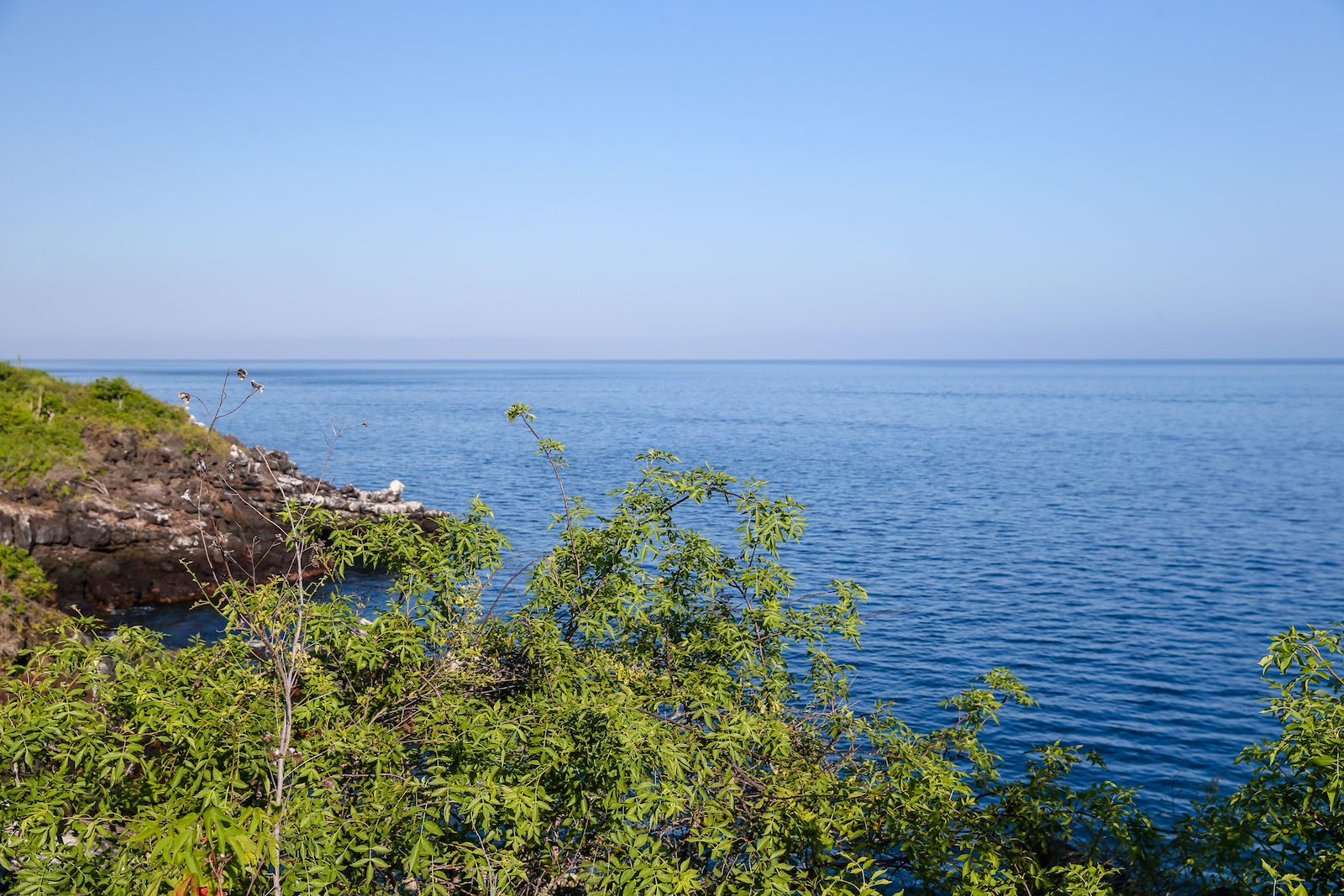 2018 GALAPAGOS DAY 6 SAN CRISTOBAL-8.JPG