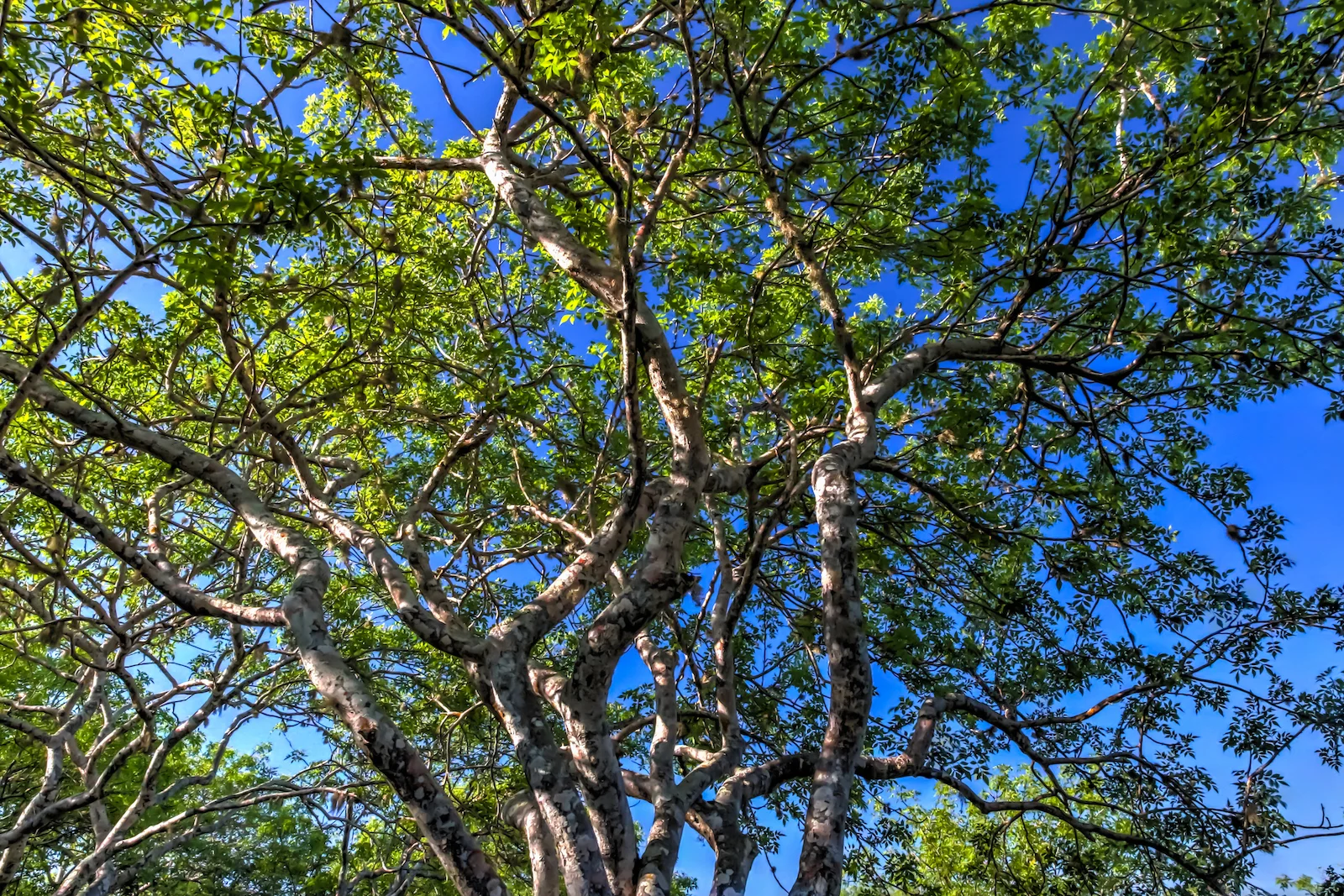 2018 GALAPAGOS DAY 6 SAN CRISTOBAL-10.JPG