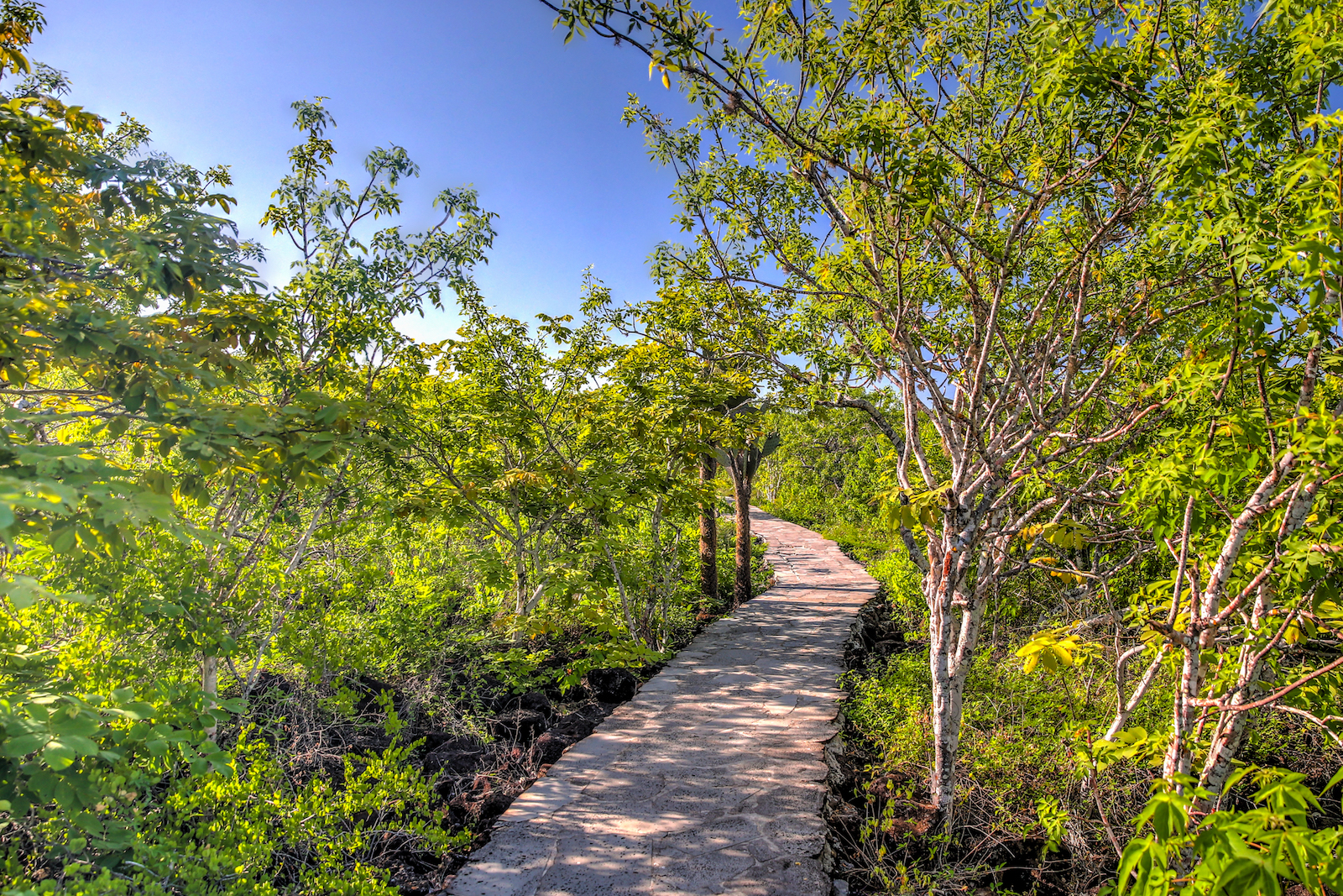 2018 GALAPAGOS DAY 6 SAN CRISTOBAL-14.JPG