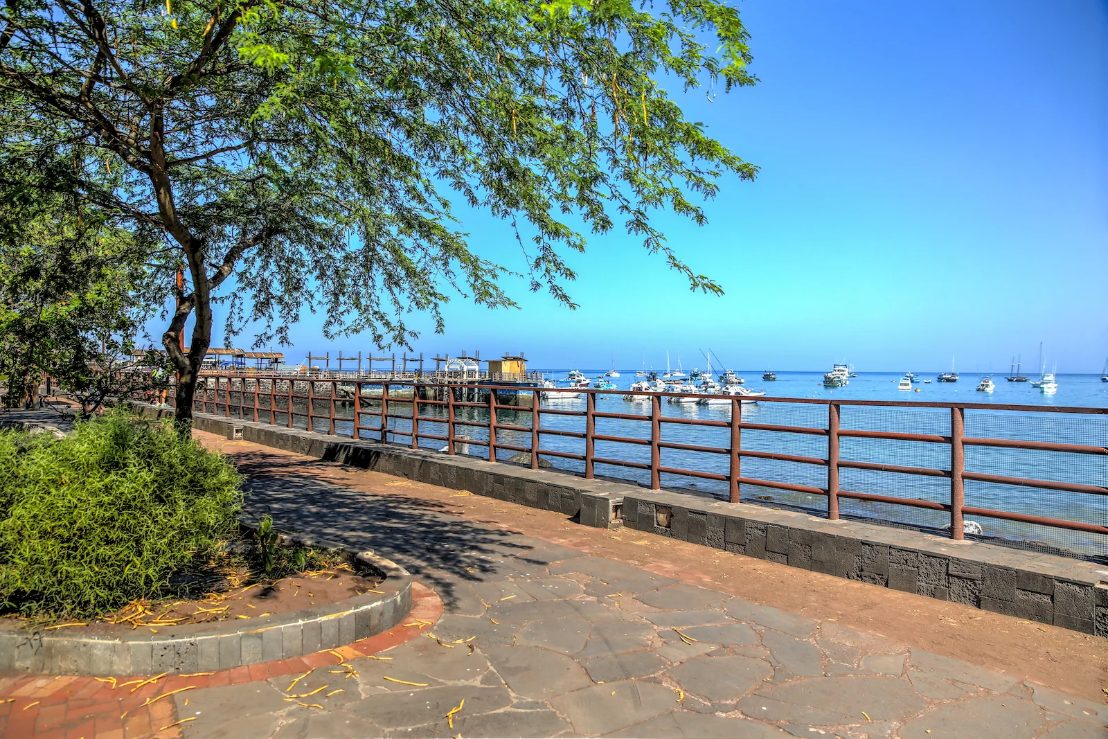 2018 GALAPAGOS DAY 6 SAN CRISTOBAL-17.JPG