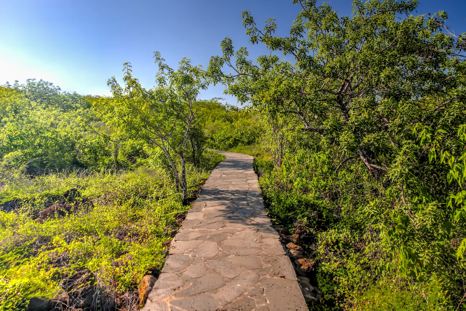 2018 GALAPAGOS DAY 6 SAN CRISTOBAL-16.JPG
