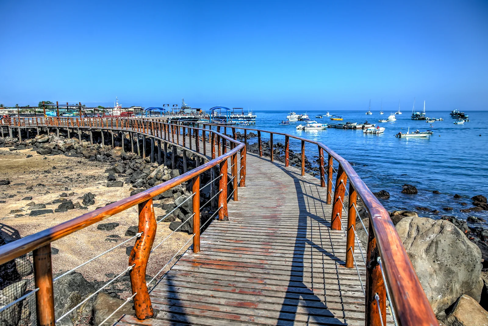 2018 GALAPAGOS DAY 6 SAN CRISTOBAL-19.JPG