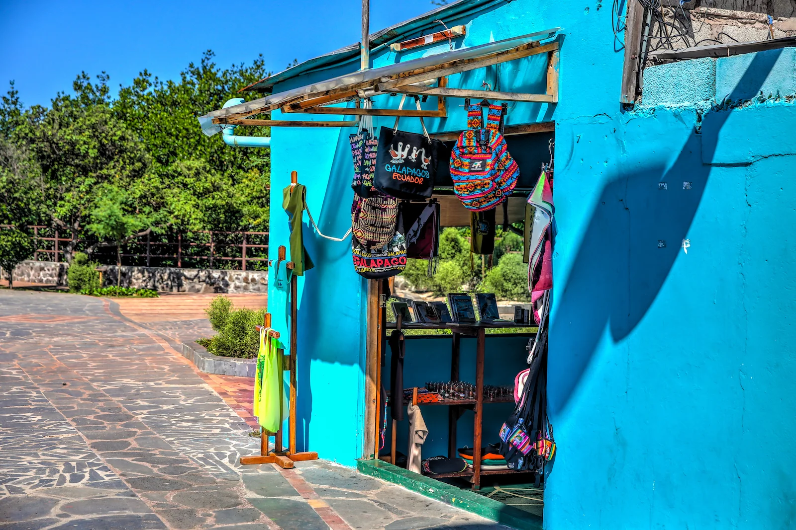 2018 GALAPAGOS DAY 6 SAN CRISTOBAL-21.JPG