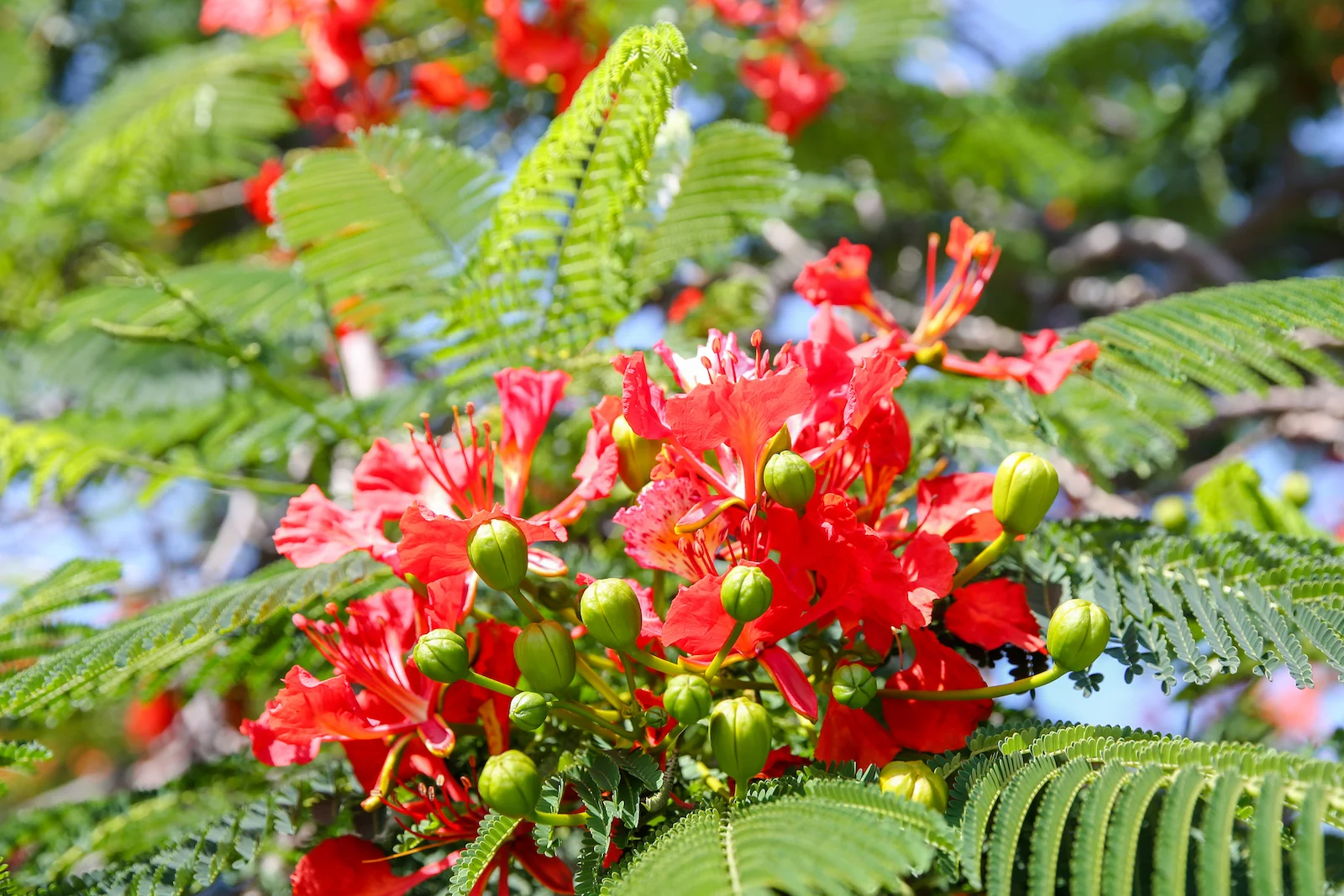 2018 GALAPAGOS DAY 6 SAN CRISTOBAL-23.JPG