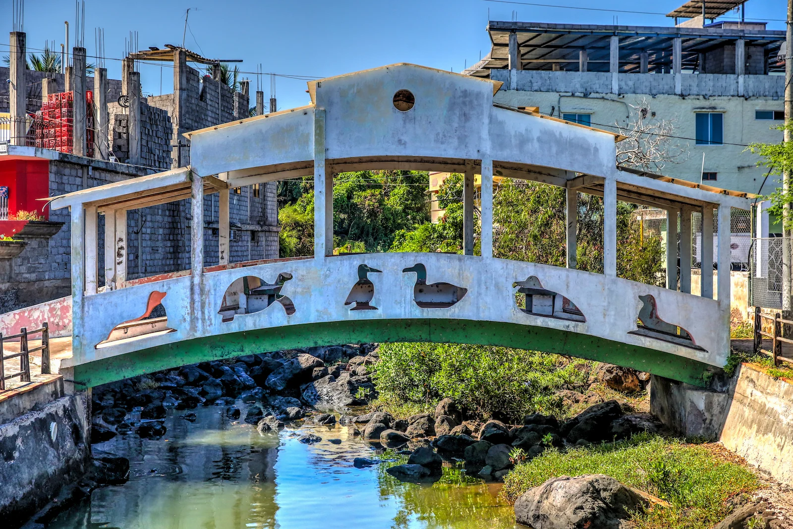 2018 GALAPAGOS DAY 6 SAN CRISTOBAL-22.JPG