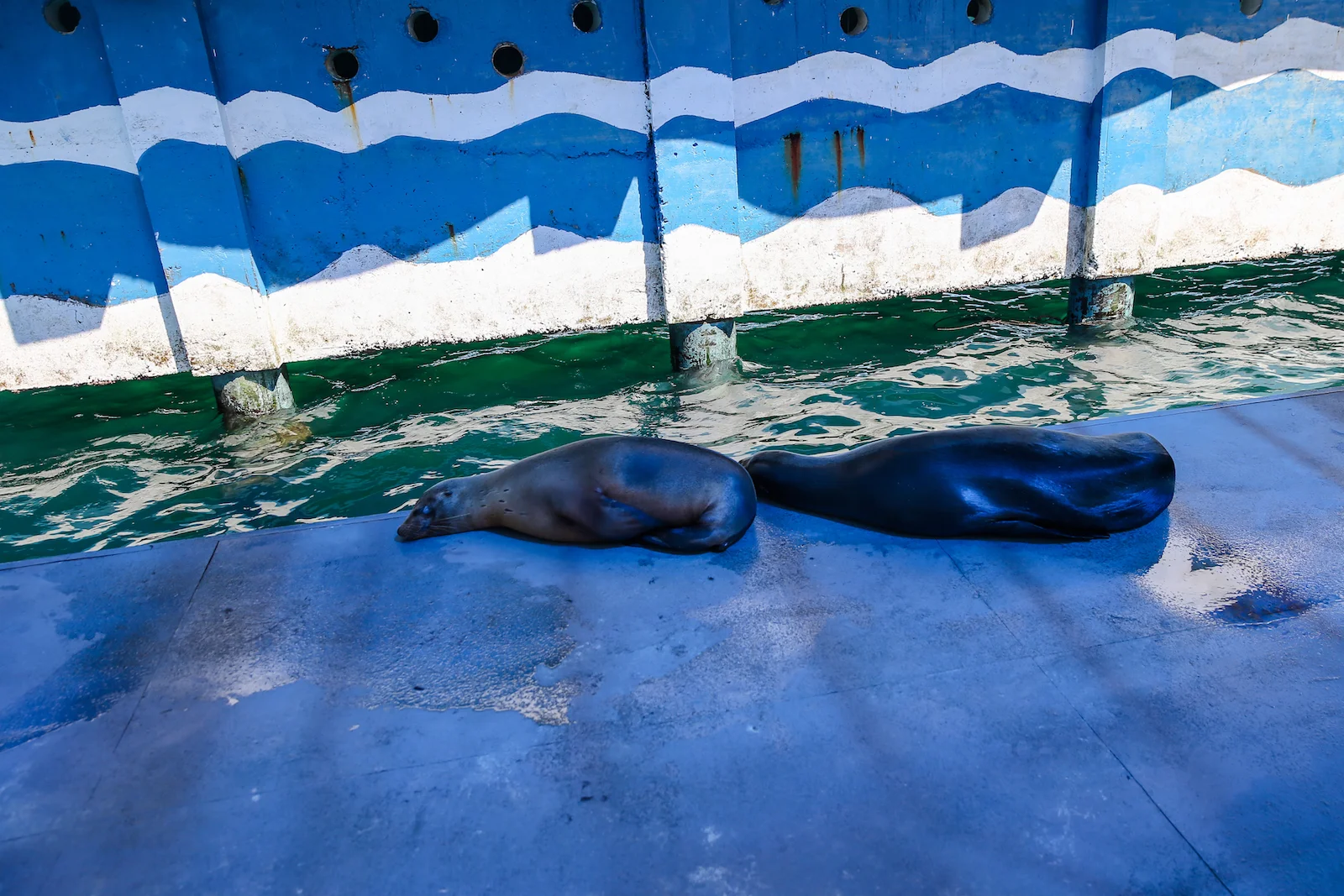 2018 GALAPAGOS DAY 6 SAN CRISTOBAL-24.JPG