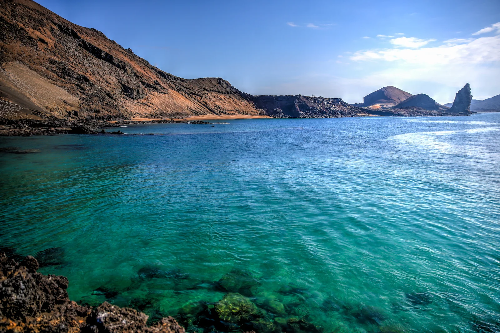 GALAPAGOS DAY 4 B-2.JPG