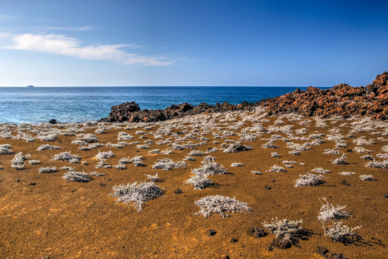 GALAPAGOS DAY 4 B-3.JPG