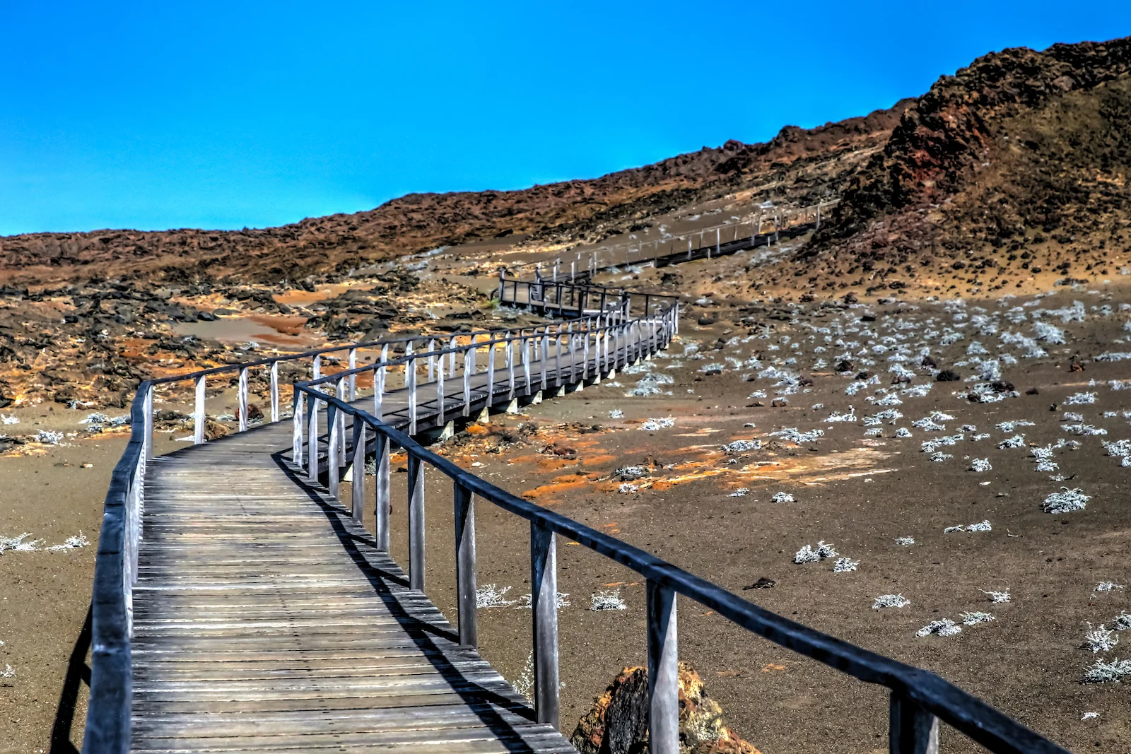 GALAPAGOS DAY 4 B-4.JPG