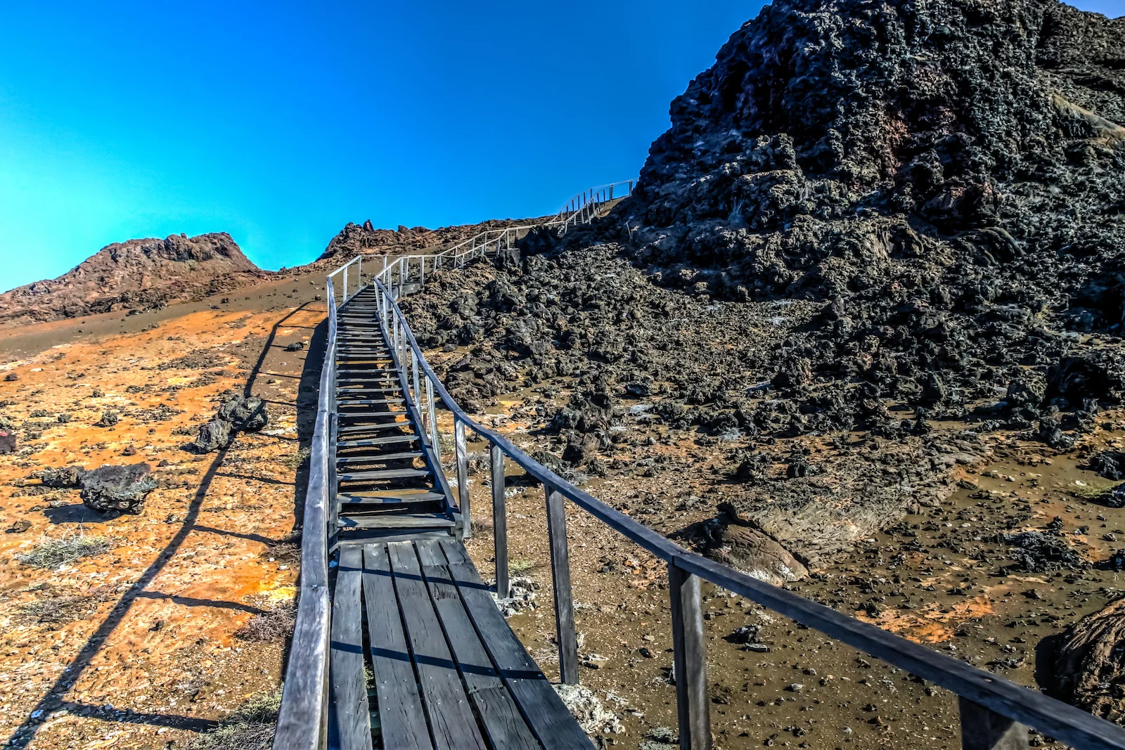 GALAPAGOS DAY 4 B-6.JPG