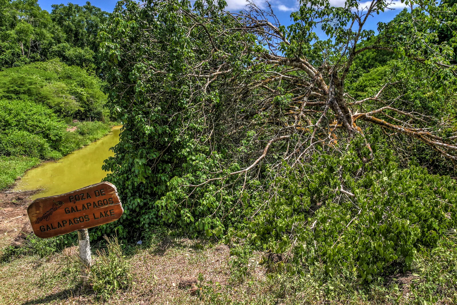 2018 GALAPAGOS DAY 7 El Manzanillo Ranch-36.JPG
