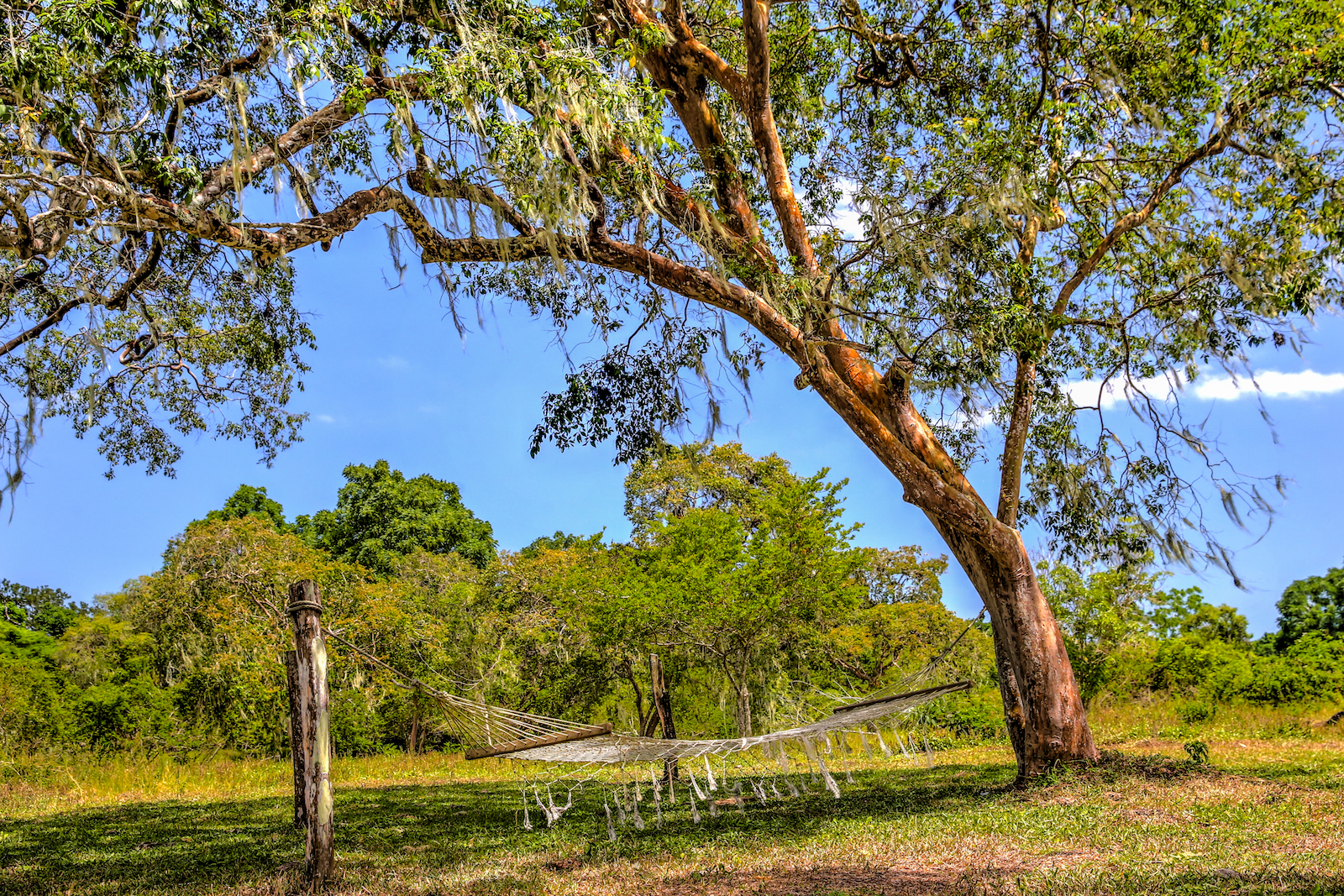 2018 GALAPAGOS DAY 7 El Manzanillo Ranch-39.JPG