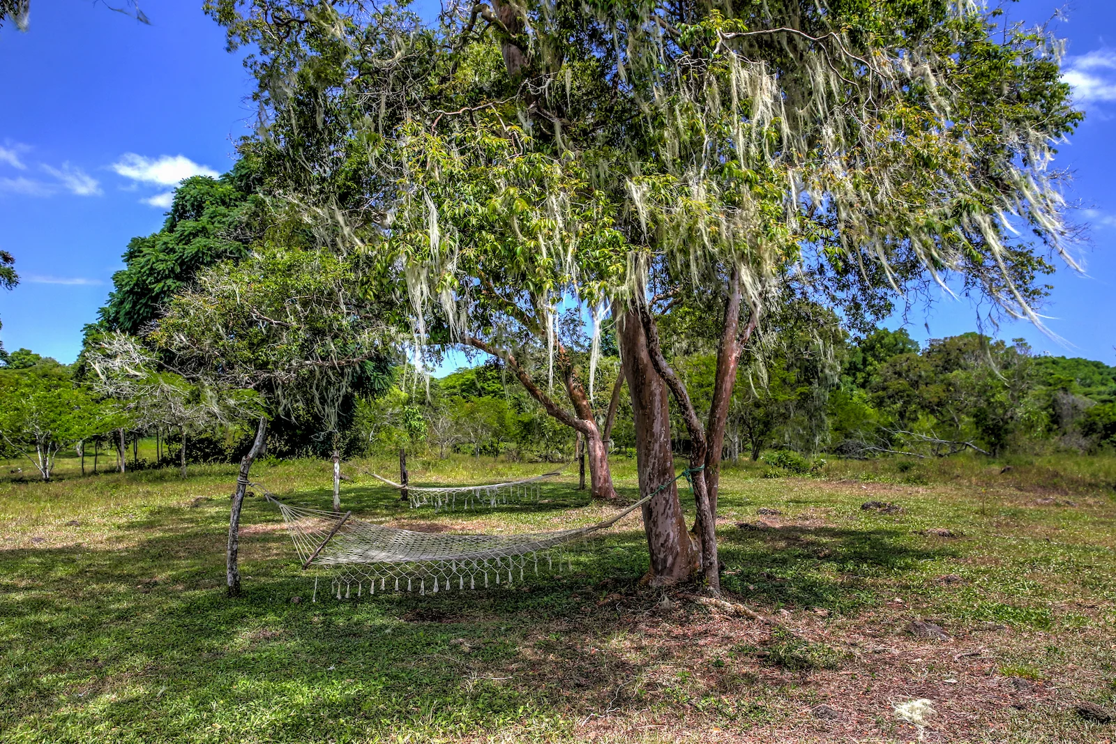 2018 GALAPAGOS DAY 7 El Manzanillo Ranch-40.JPG