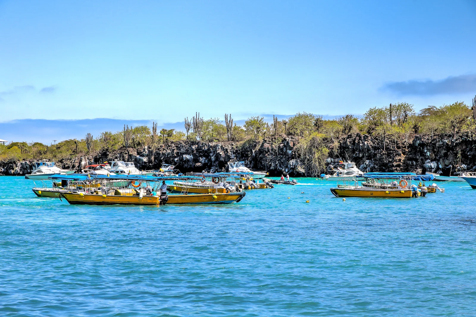 2018 GALAPAGOS DAY 7 Puerto Ayora Streets-1.JPG