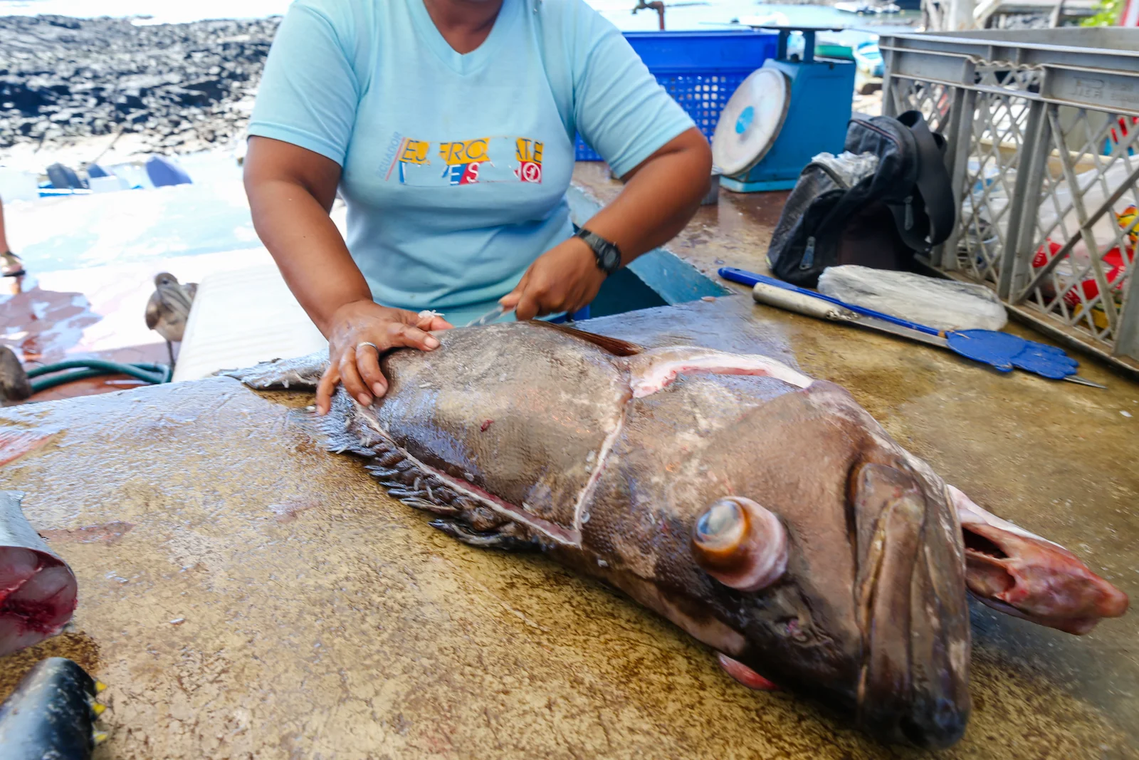 2018 GALAPAGOS DAY 7 Puerto Ayora Streets-7.JPG