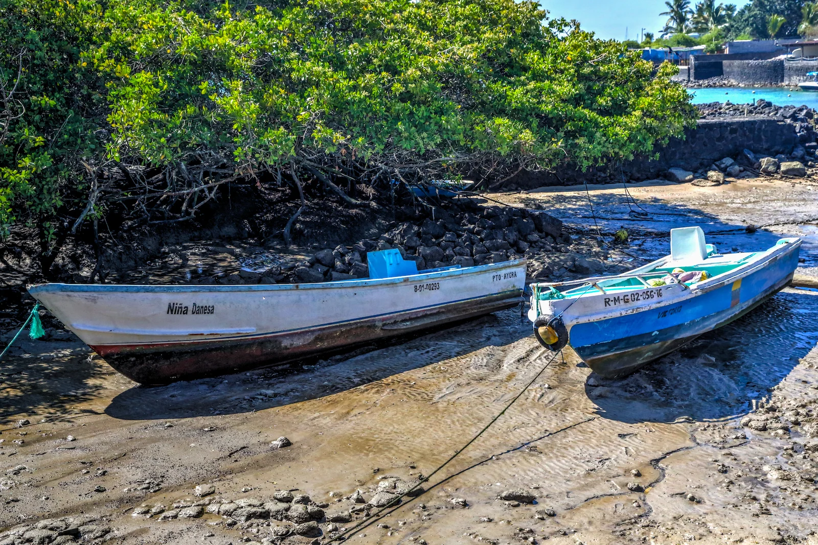 2018 GALAPAGOS DAY 7 Puerto Ayora Streets-18.JPG