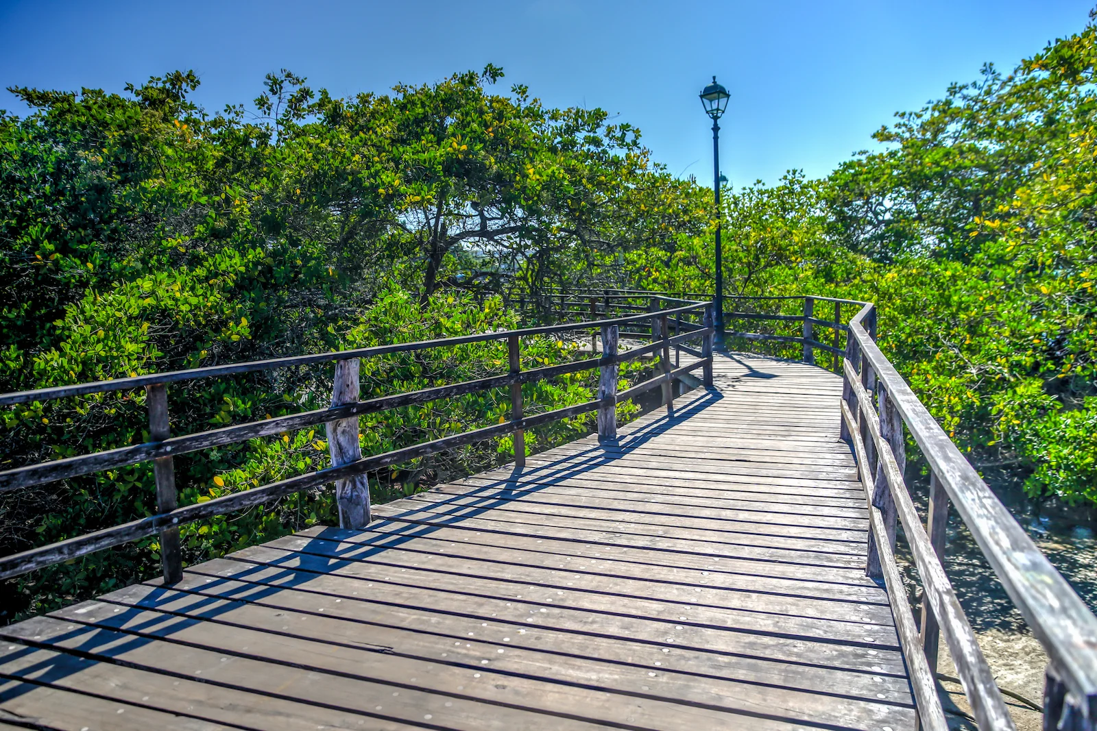 2018 GALAPAGOS DAY 7 Puerto Ayora Streets-21.JPG