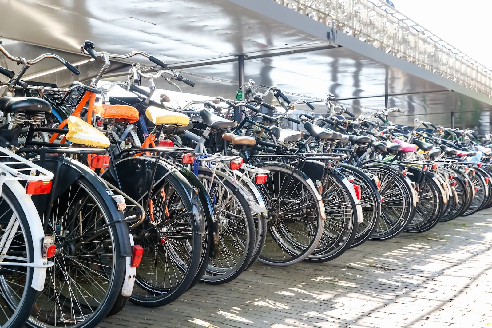 2018 EUROPE AMSTERDAM-4.JPG