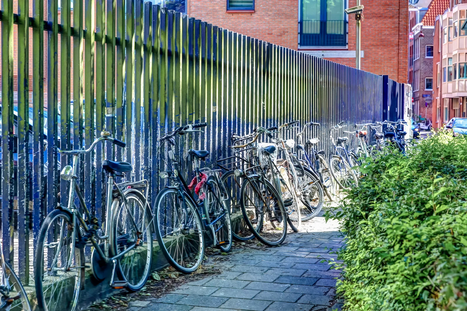 2018 EUROPE AMSTERDAM-17.JPG