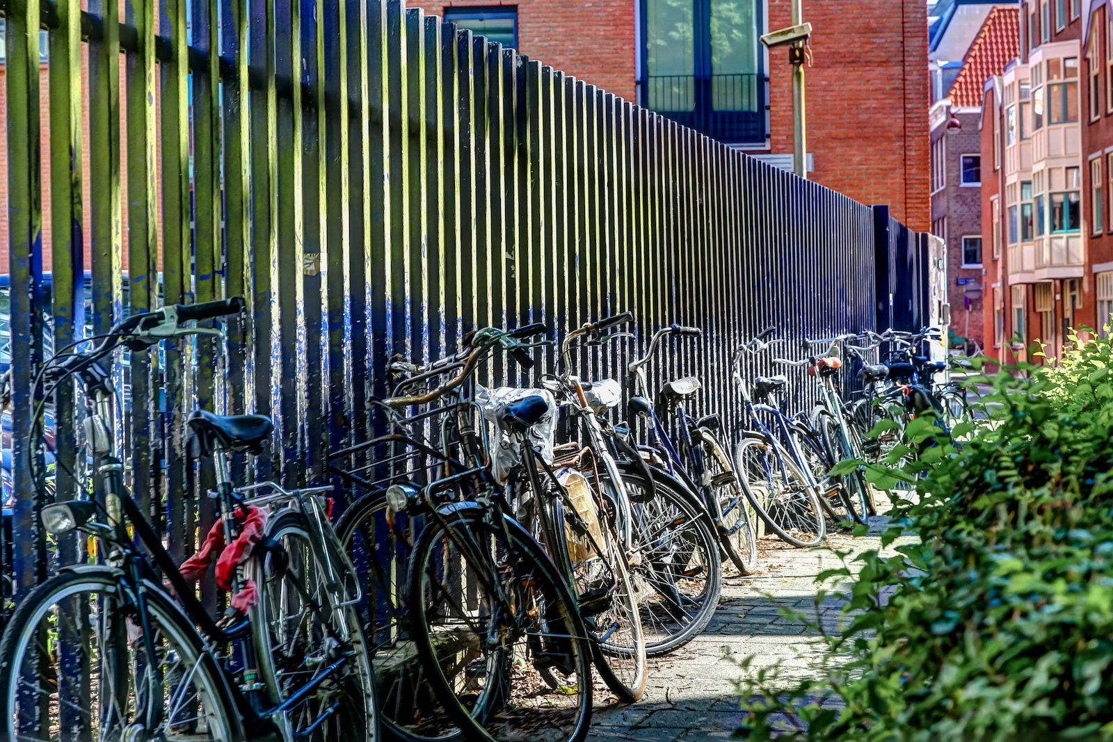 2018 EUROPE AMSTERDAM-18.JPG