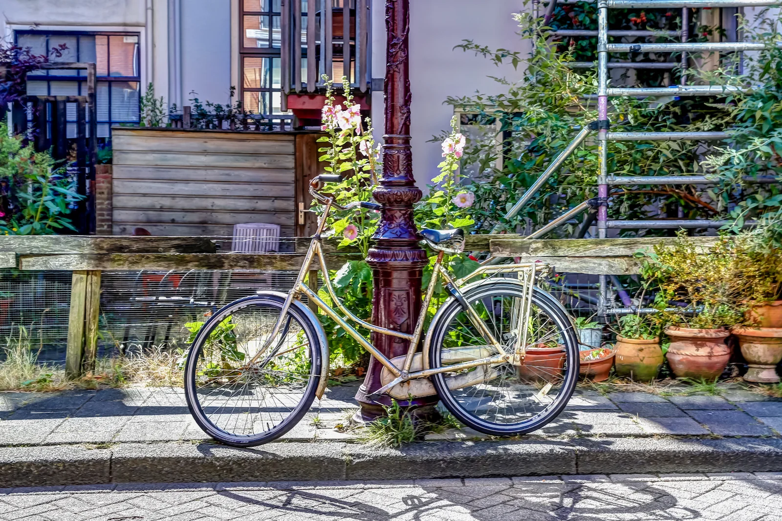 2018 EUROPE AMSTERDAM-19.JPG