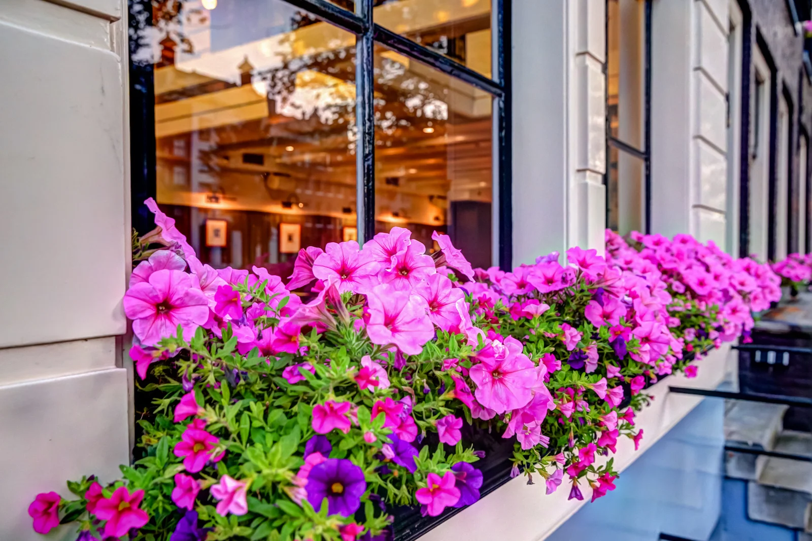 2018 EUROPE AMSTERDAM-31.JPG