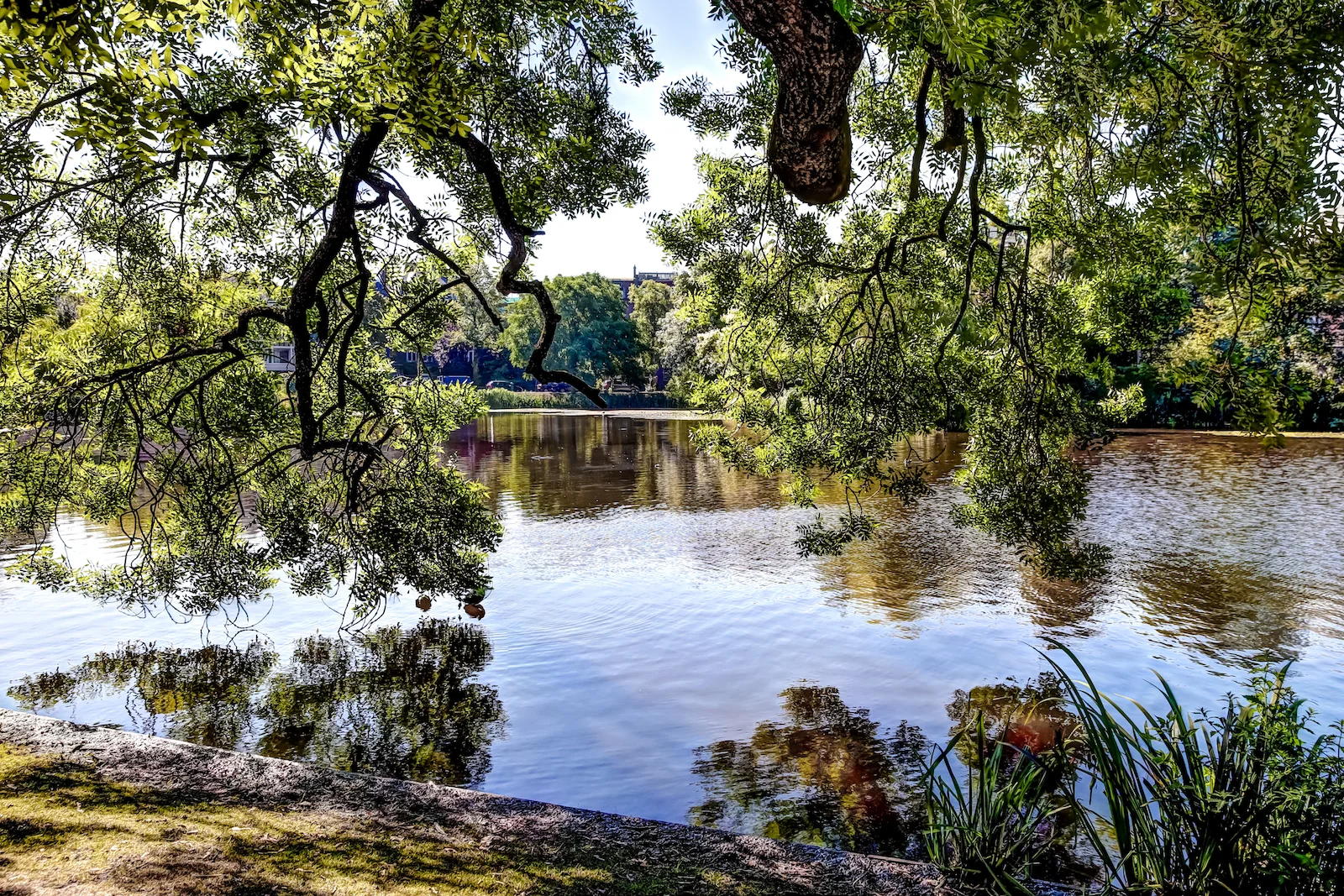 2018 EUROPE AMSTERDAM-52.JPG