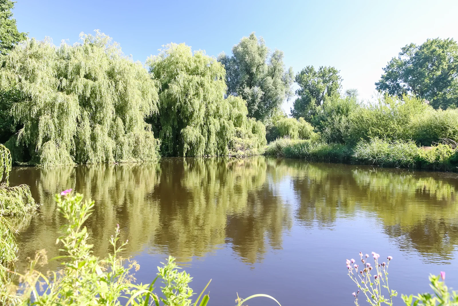 2018 EUROPE AMSTERDAM-53.JPG