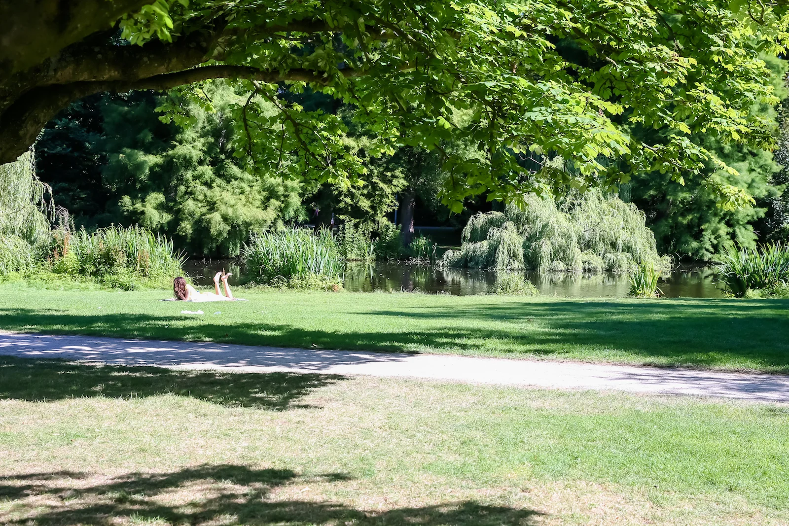 2018 EUROPE AMSTERDAM-54.JPG