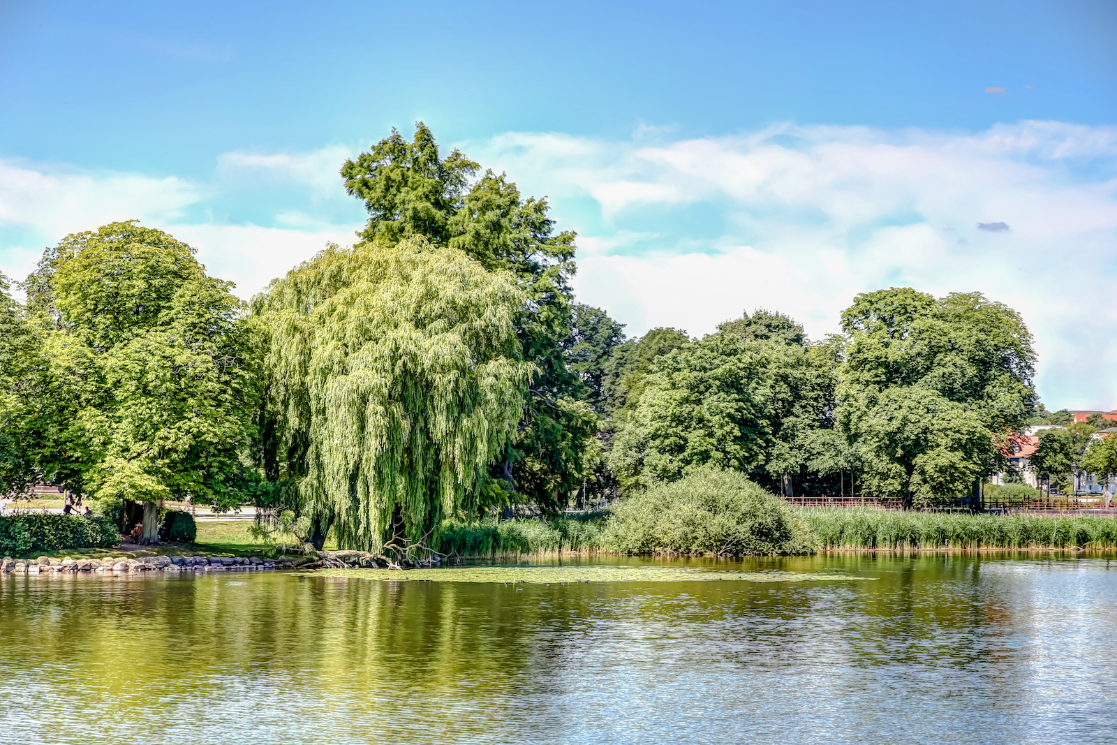 2018 EUROPE SCHWERIN-18.JPG