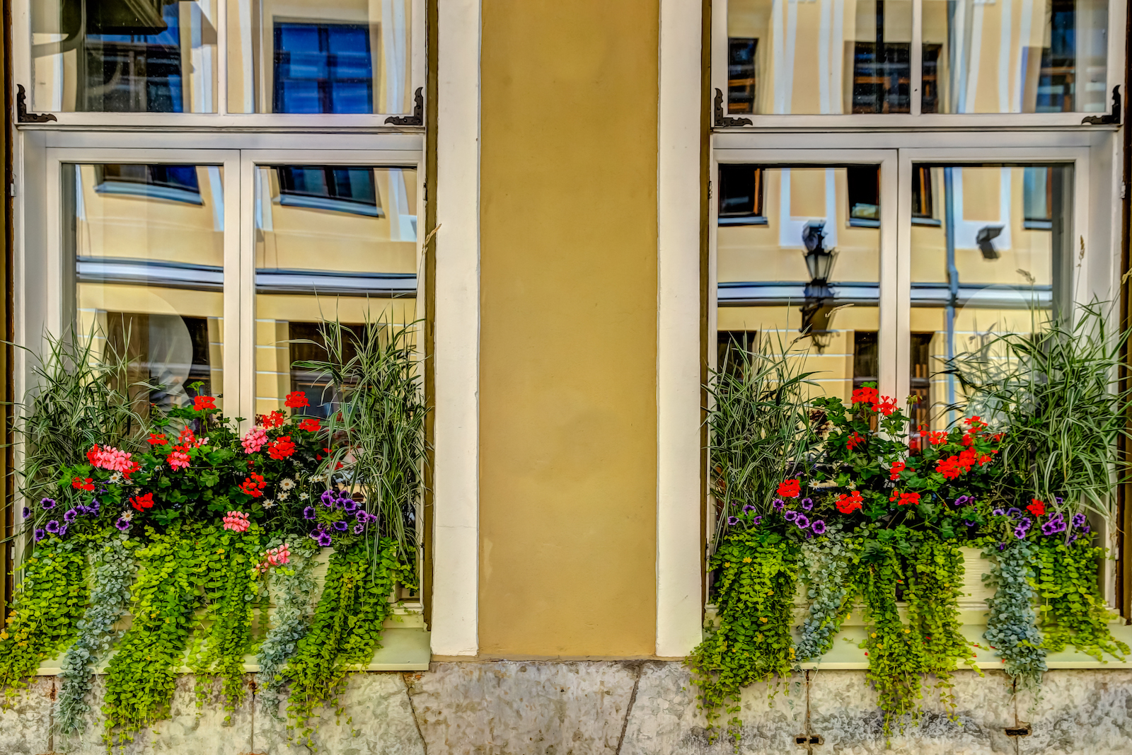 2018 EUROPE TALLIN-36.JPG