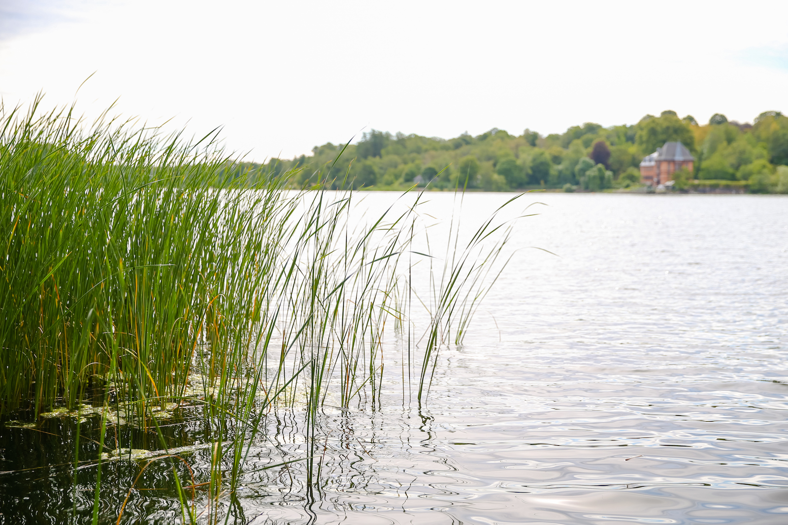 2018 EUROPE STOCKHOLM-14.JPG