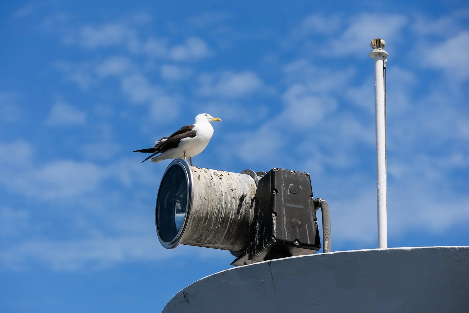 2018 EUROPE STOCKHOLM-69.JPG