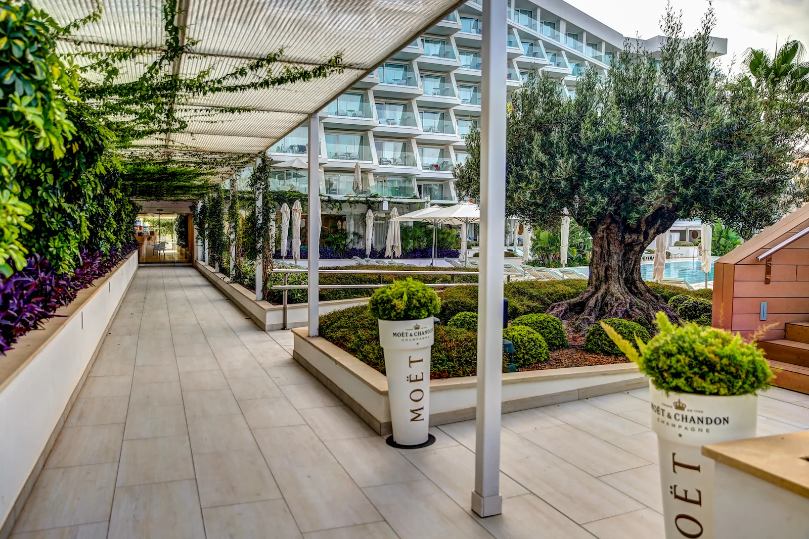 2018 EUROPE MALLORCA-34.JPG